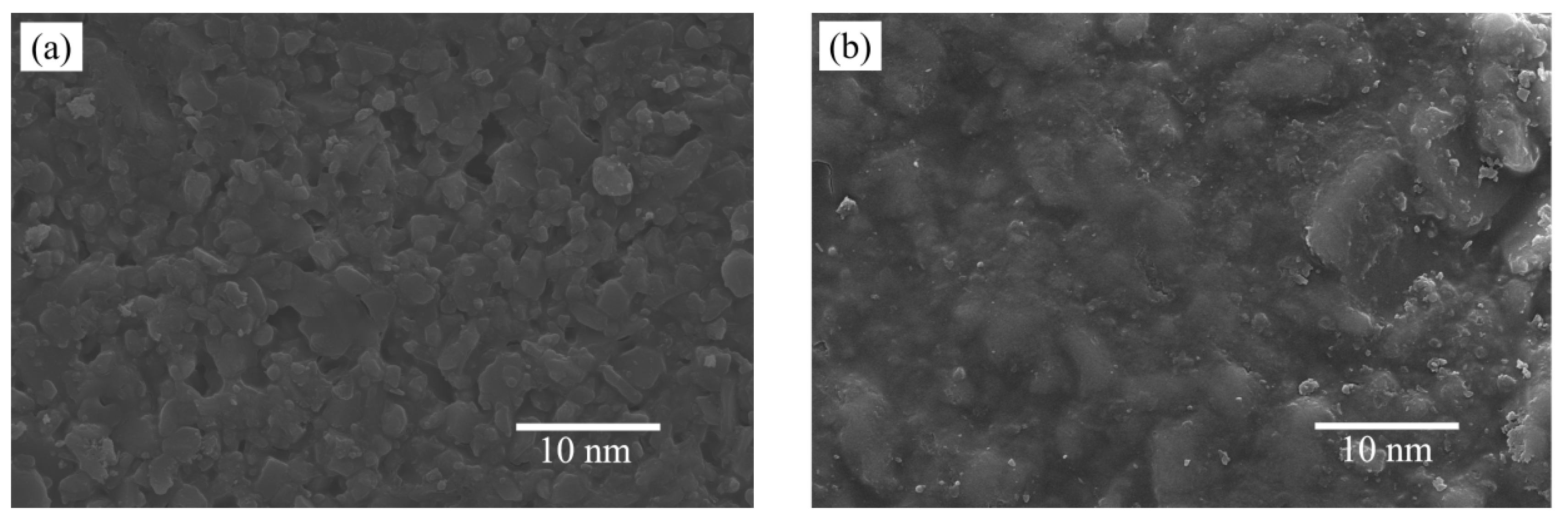 Membranes 12 00527 g010