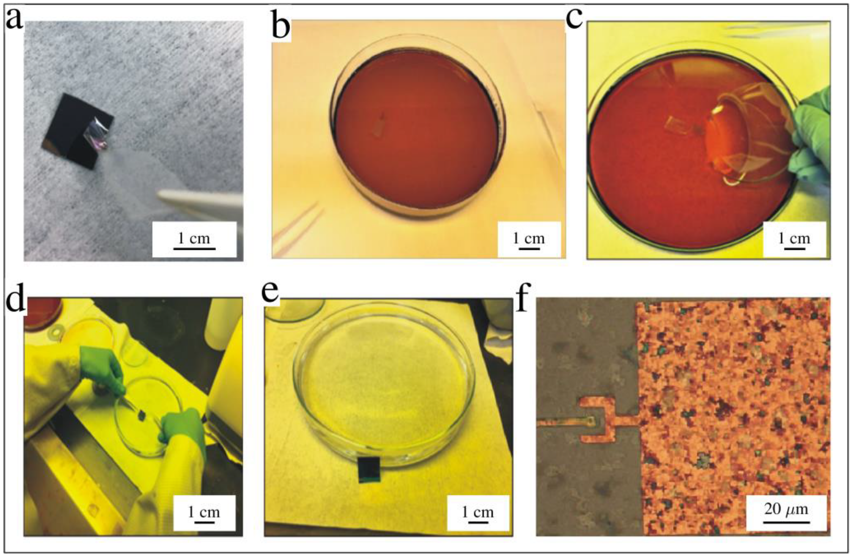 Membranes 12 00533 g011 Membranes 12 00533 g011