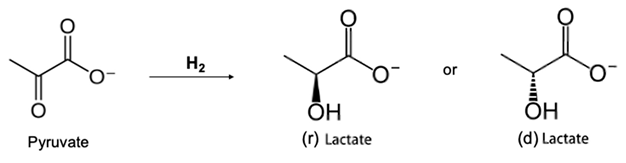 Membranes 12 00542 i001