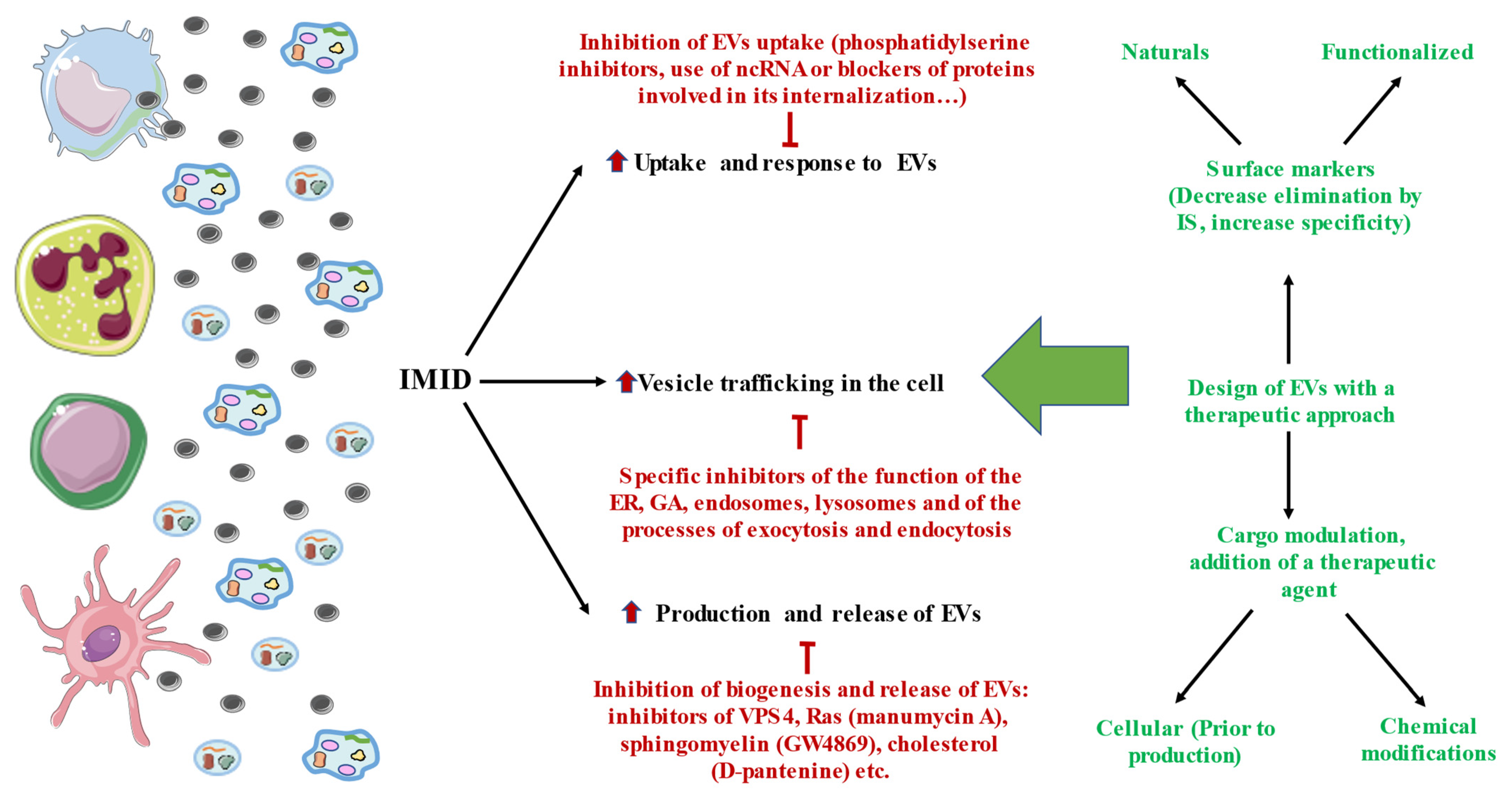Membranes 12 00552 g002 Membranes 12 00552 g002