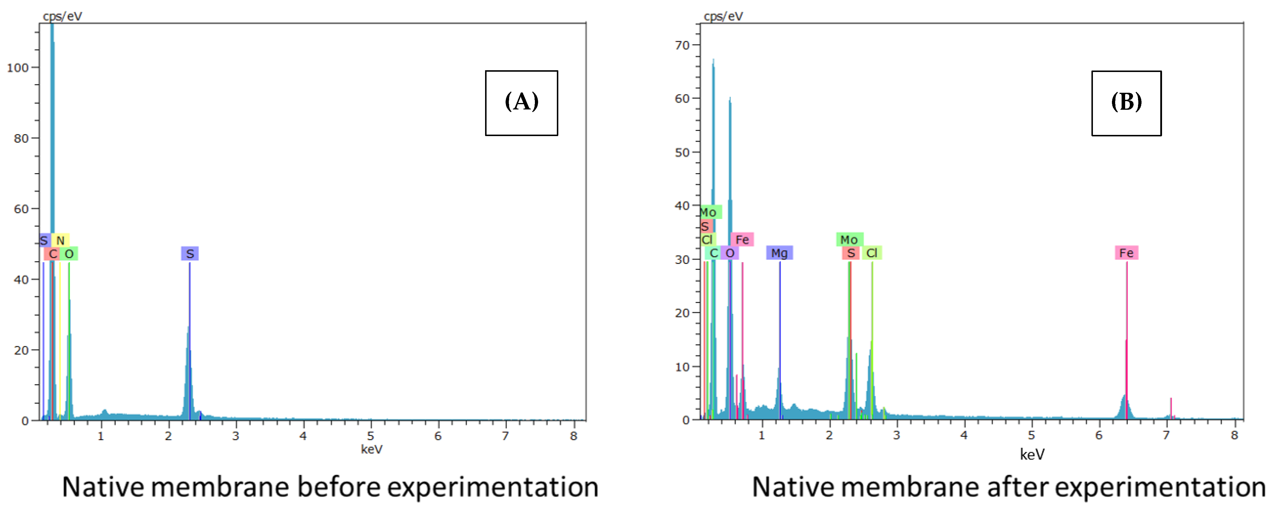 Membranes 12 00562 g002