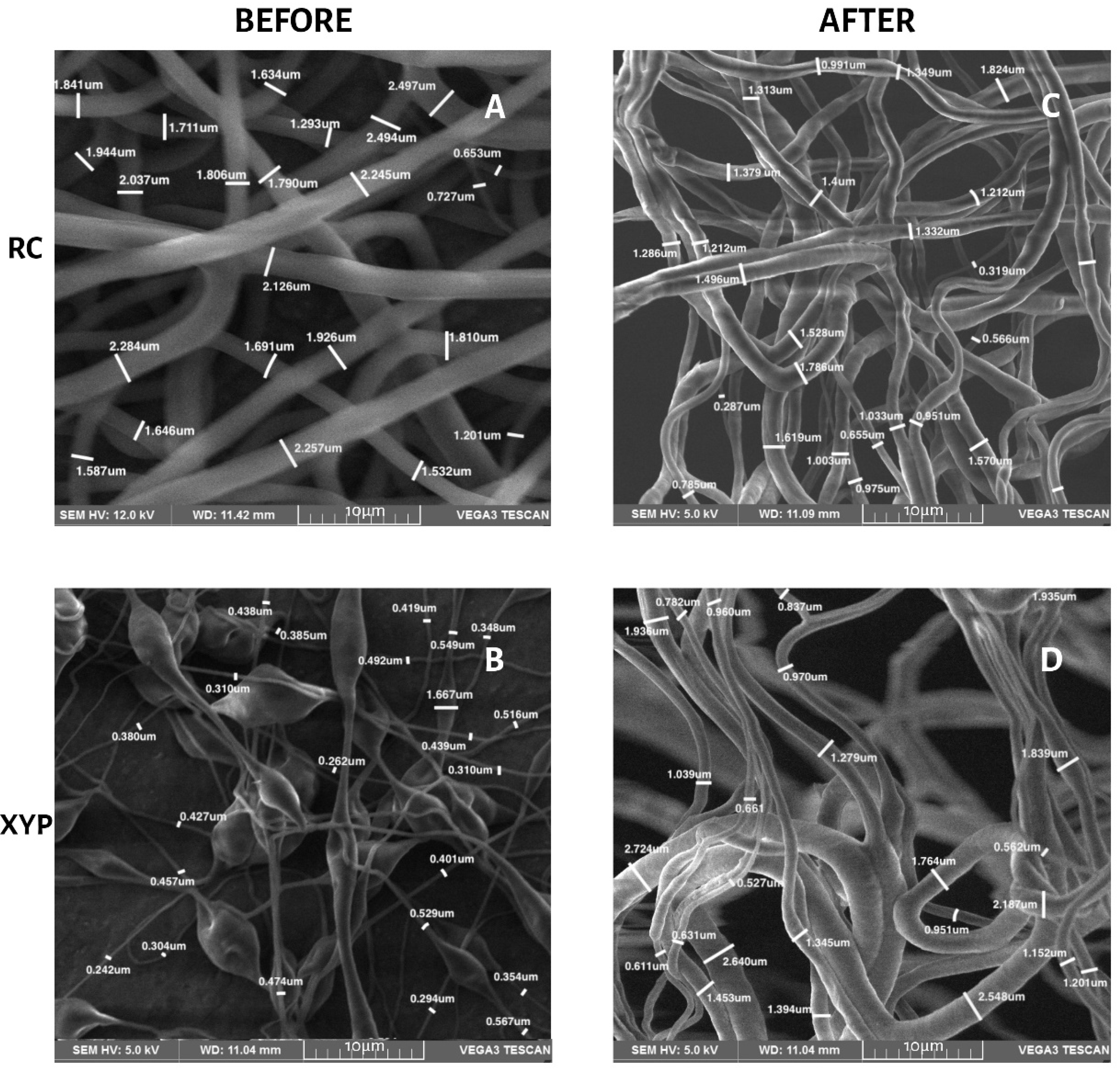 Membranes 12 00563 g004