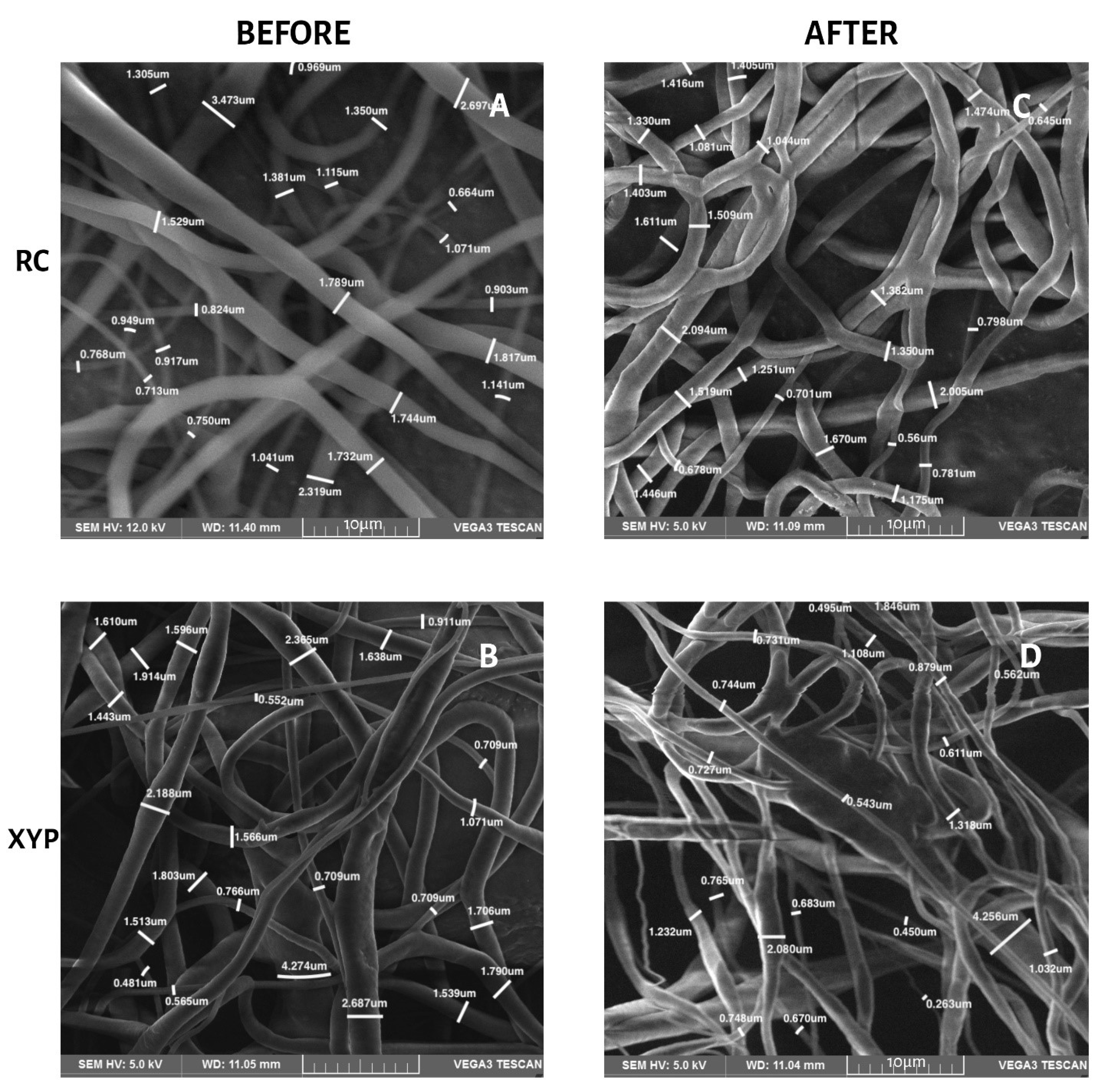 Membranes 12 00563 g005