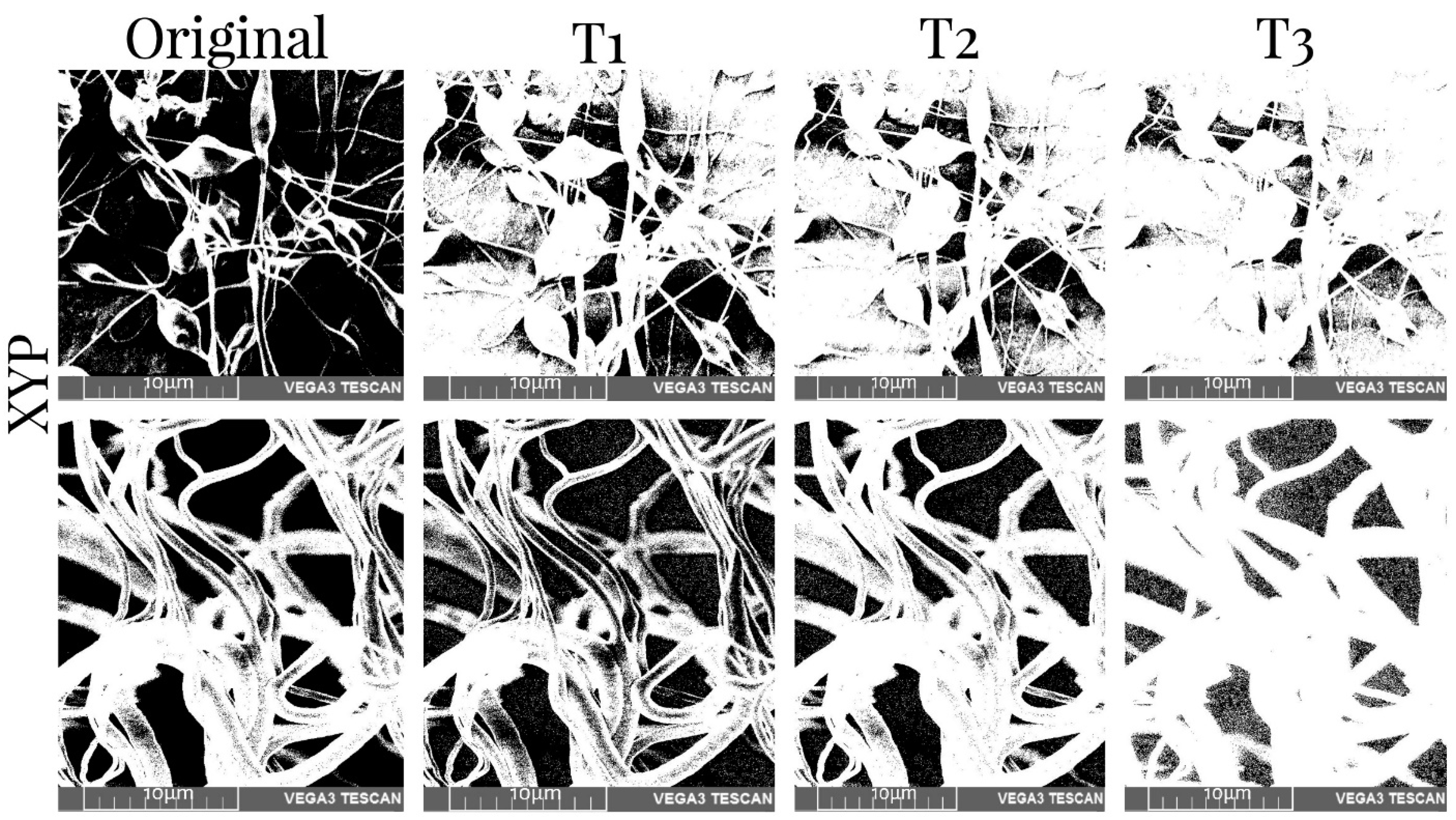 Membranes 12 00563 g007