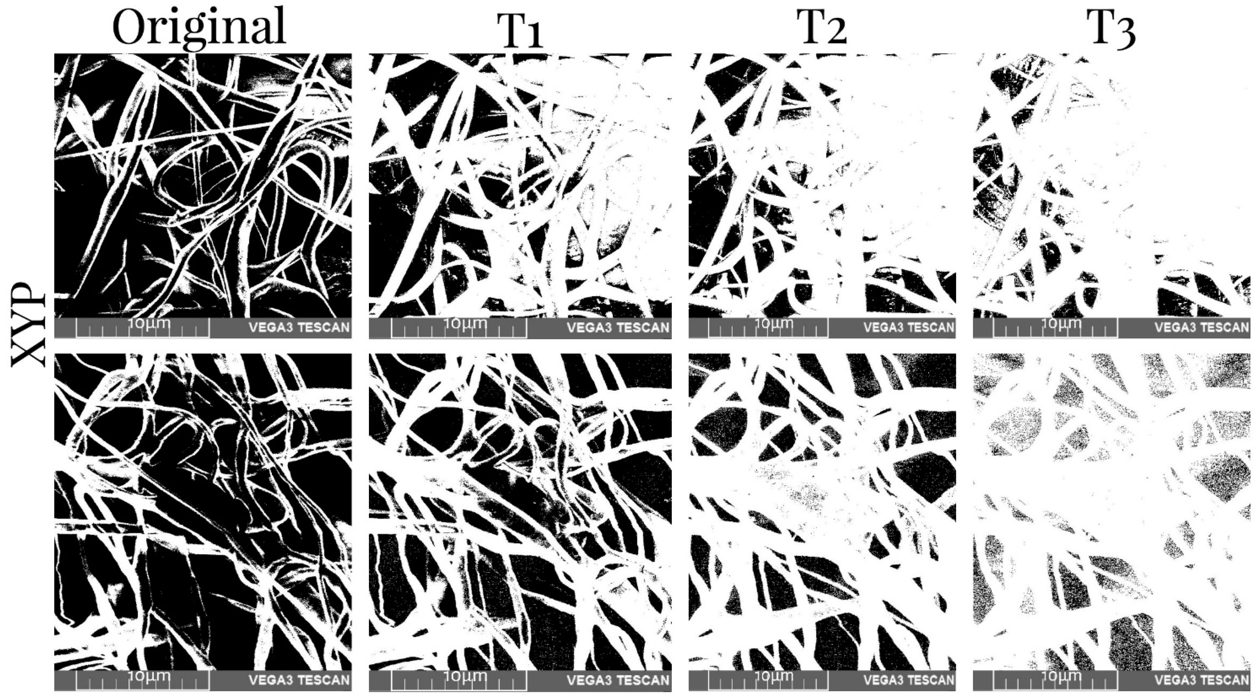 Membranes 12 00563 g009
