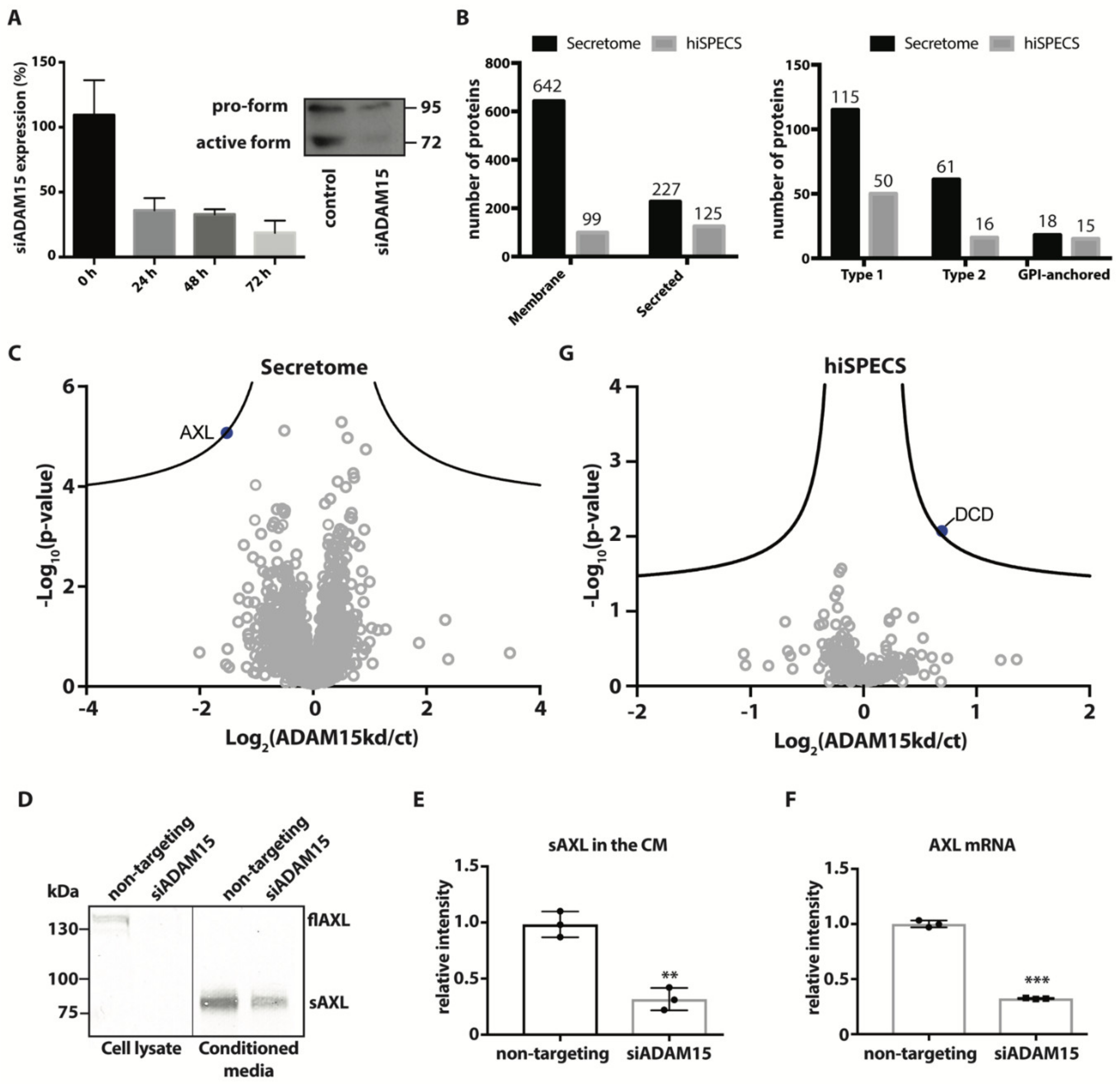 Membranes 12 00578 g001 Membranes 12 00578 g001