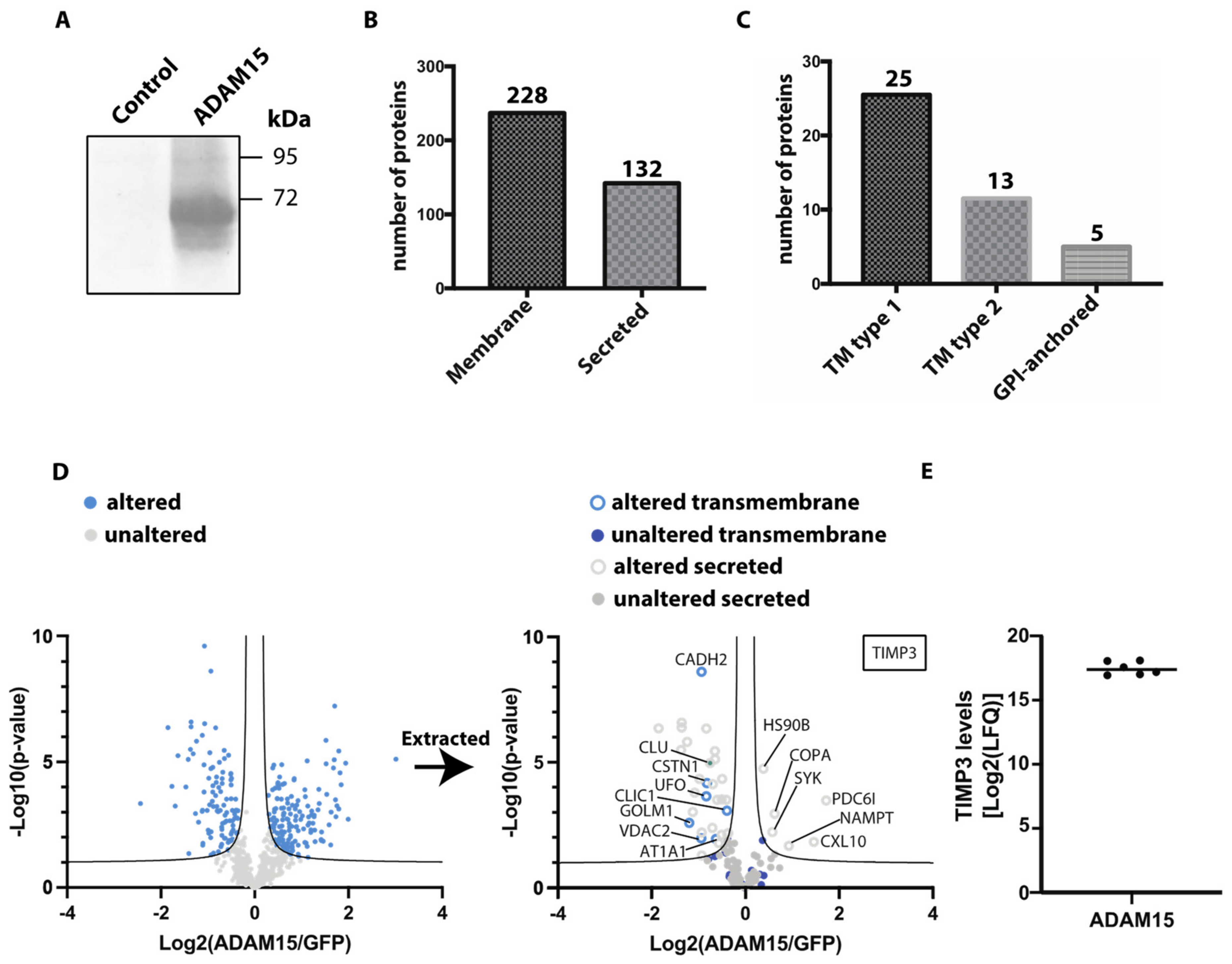 Membranes 12 00578 g002 Membranes 12 00578 g002
