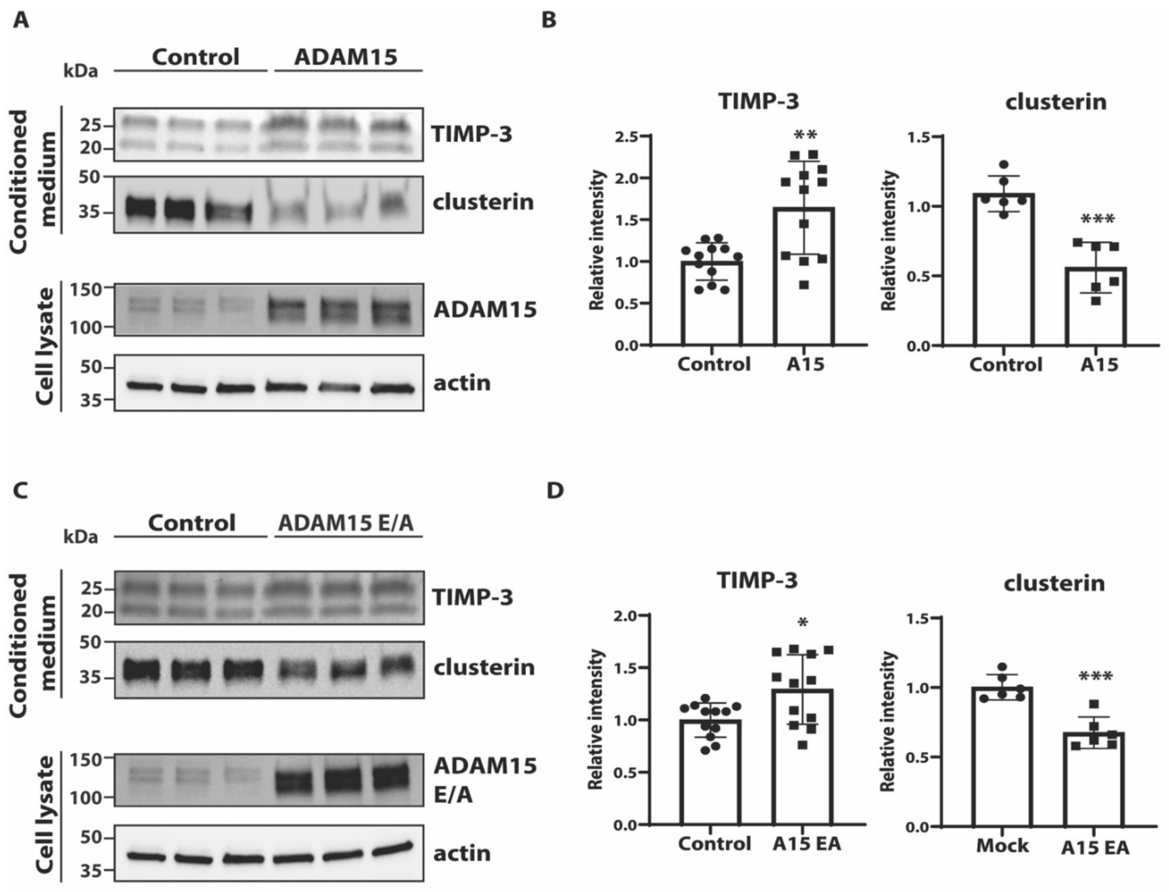 Membranes 12 00578 g003 Membranes 12 00578 g003