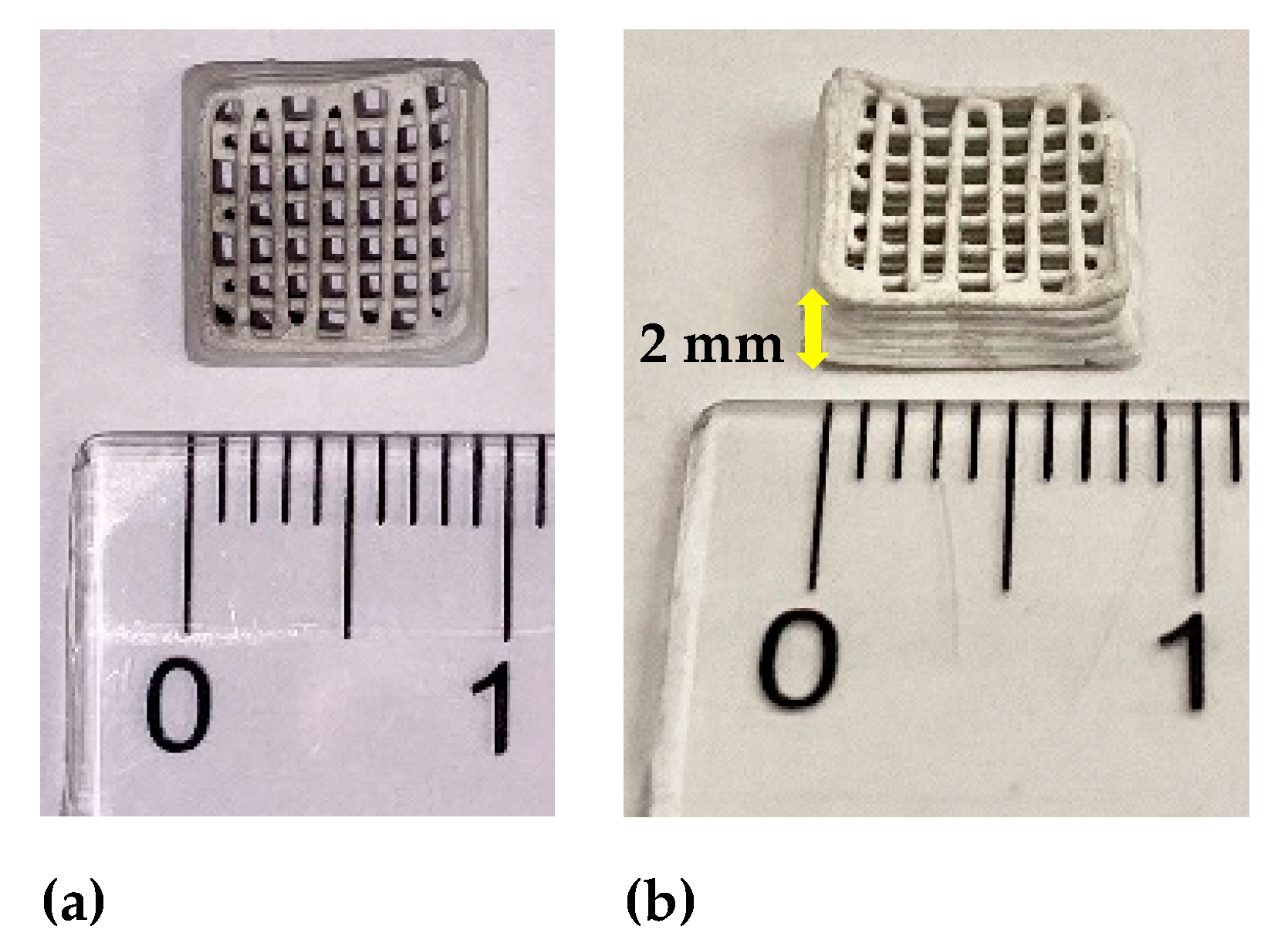 Membranes 12 00588 g002