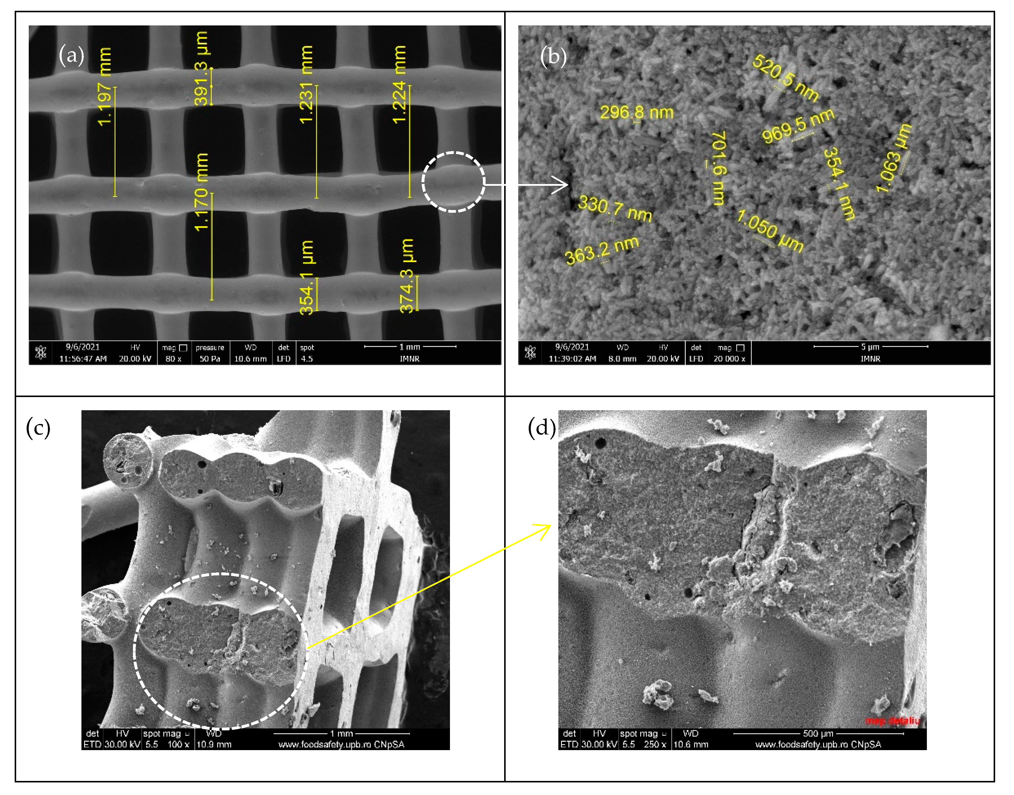 Membranes 12 00588 g003