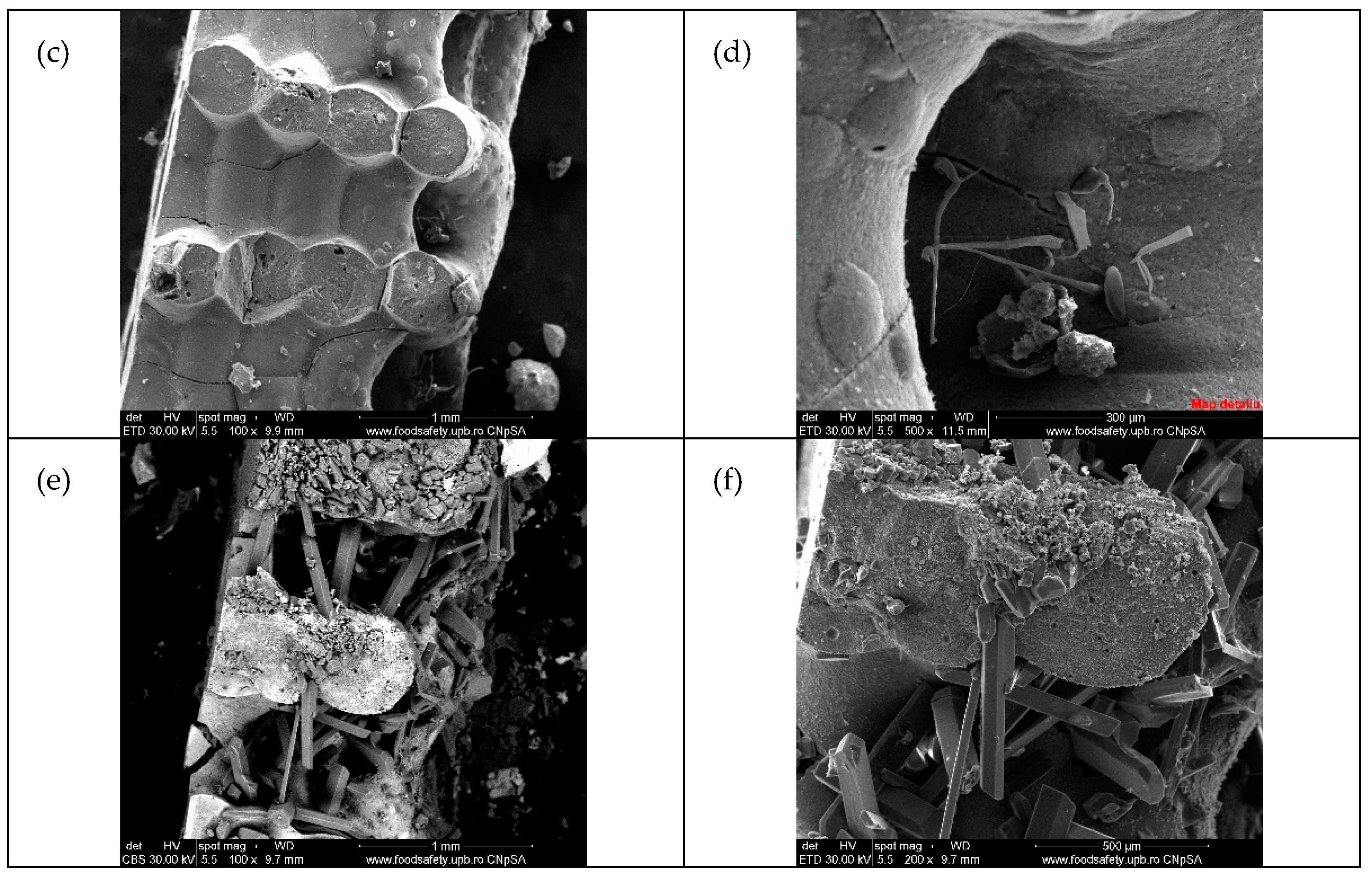 Membranes 12 00588 g006b
