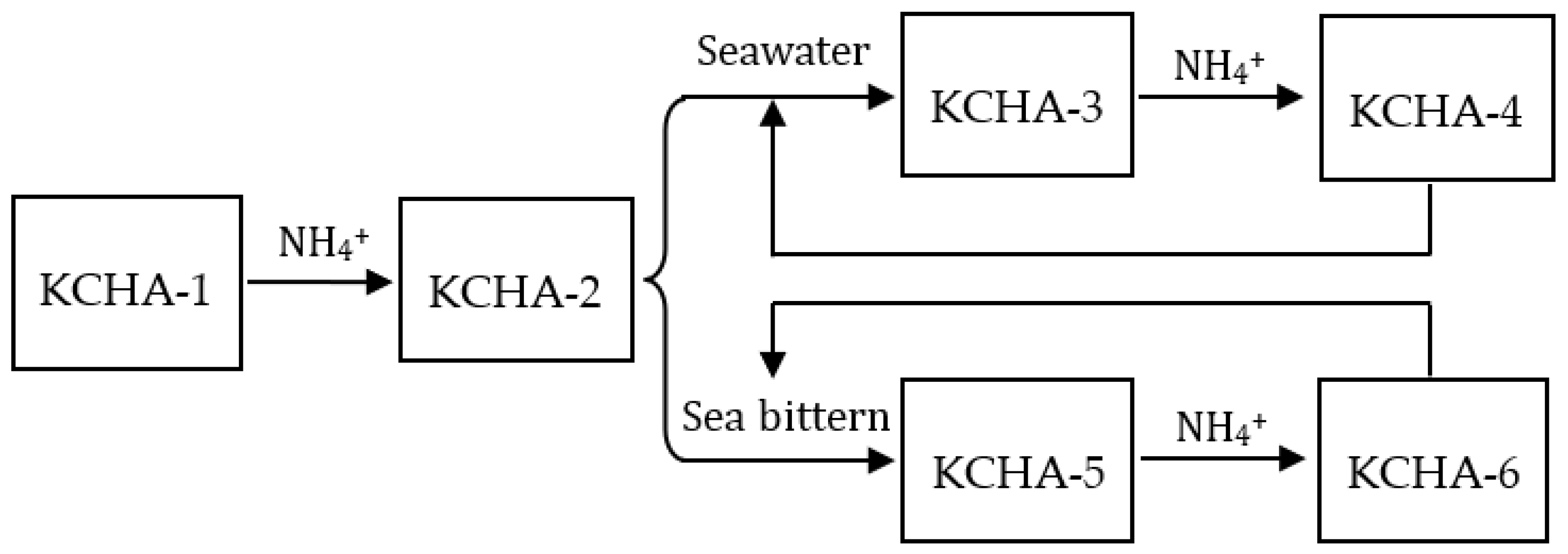 Membranes 12 00604 g002