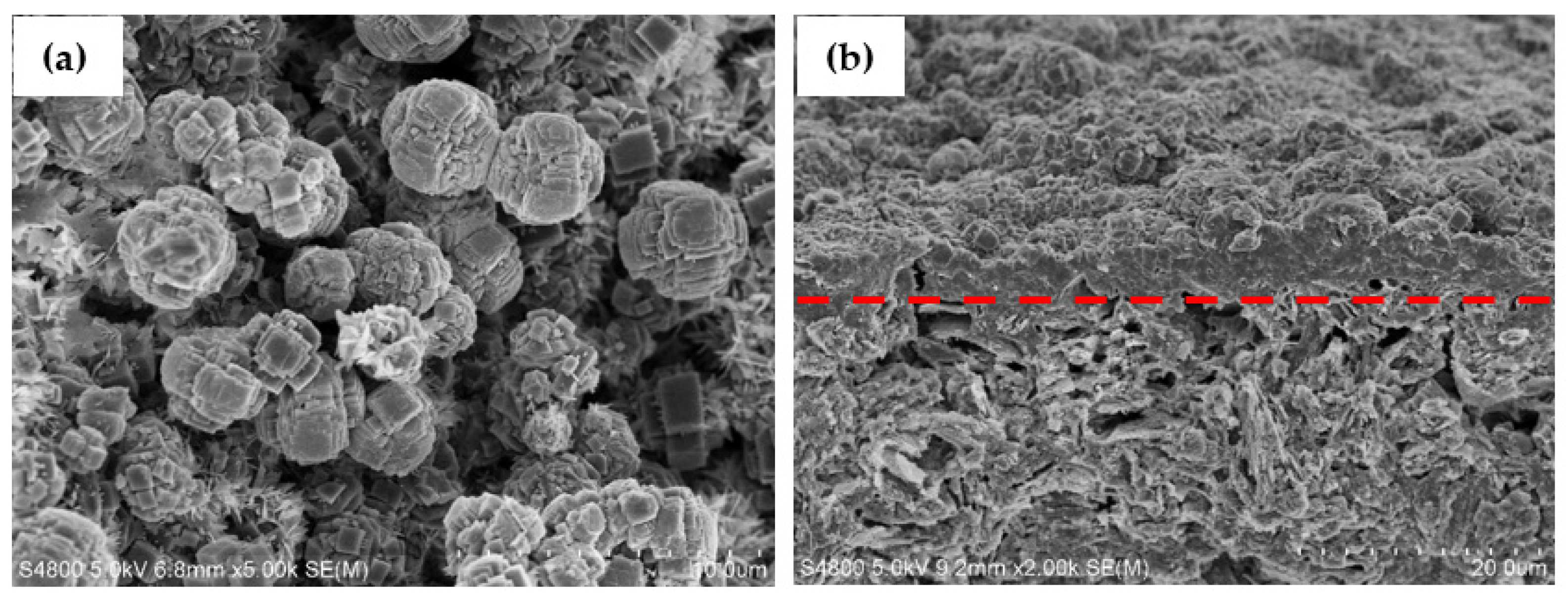 Membranes 12 00604 g004