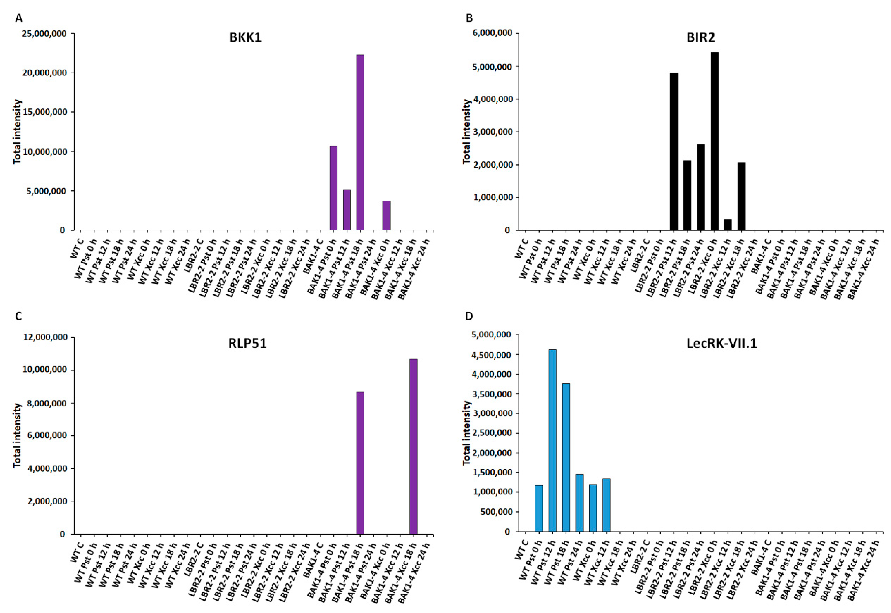 Membranes 12 00606 g003