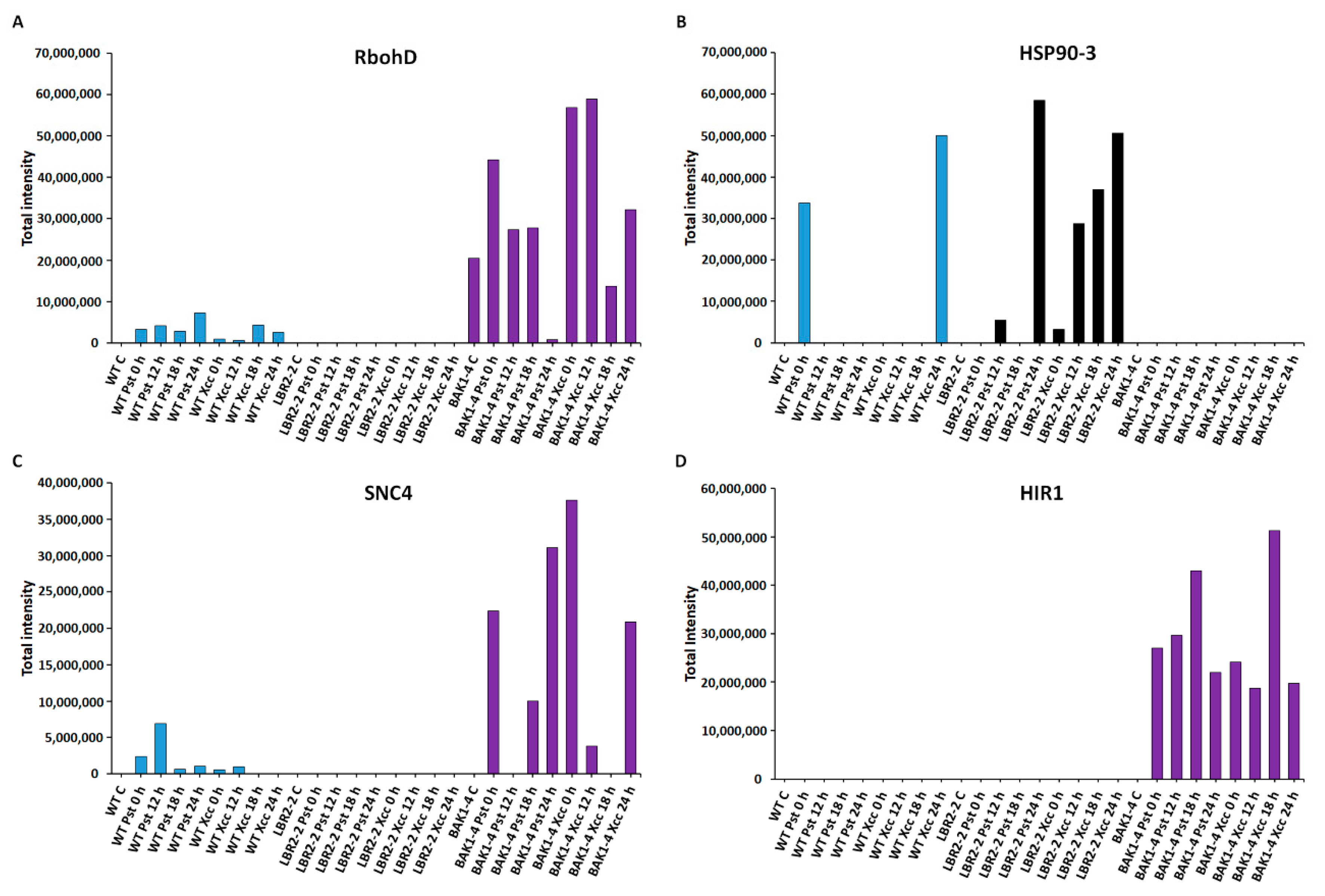 Membranes 12 00606 g005