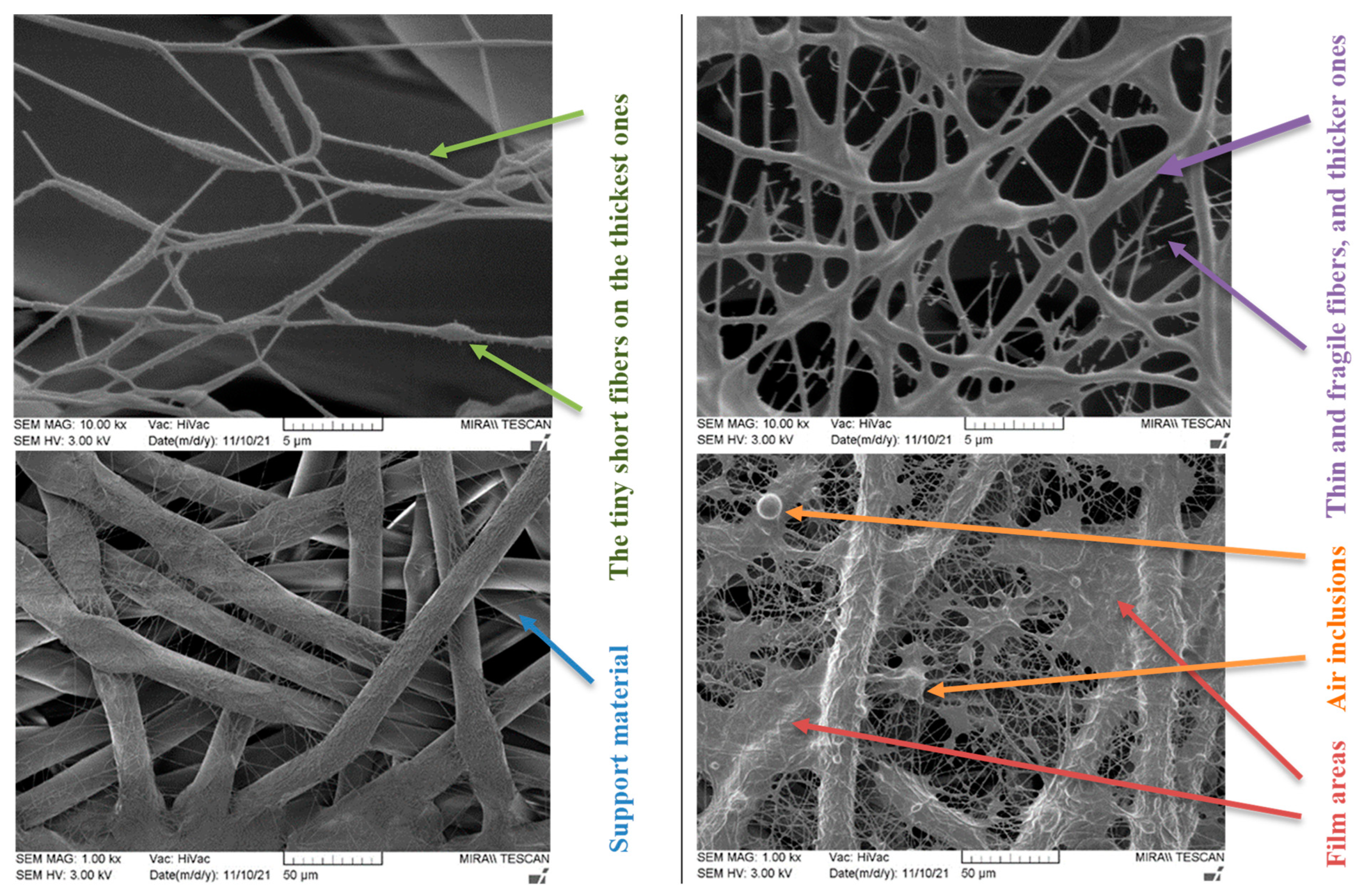 Membranes 12 00609 g006