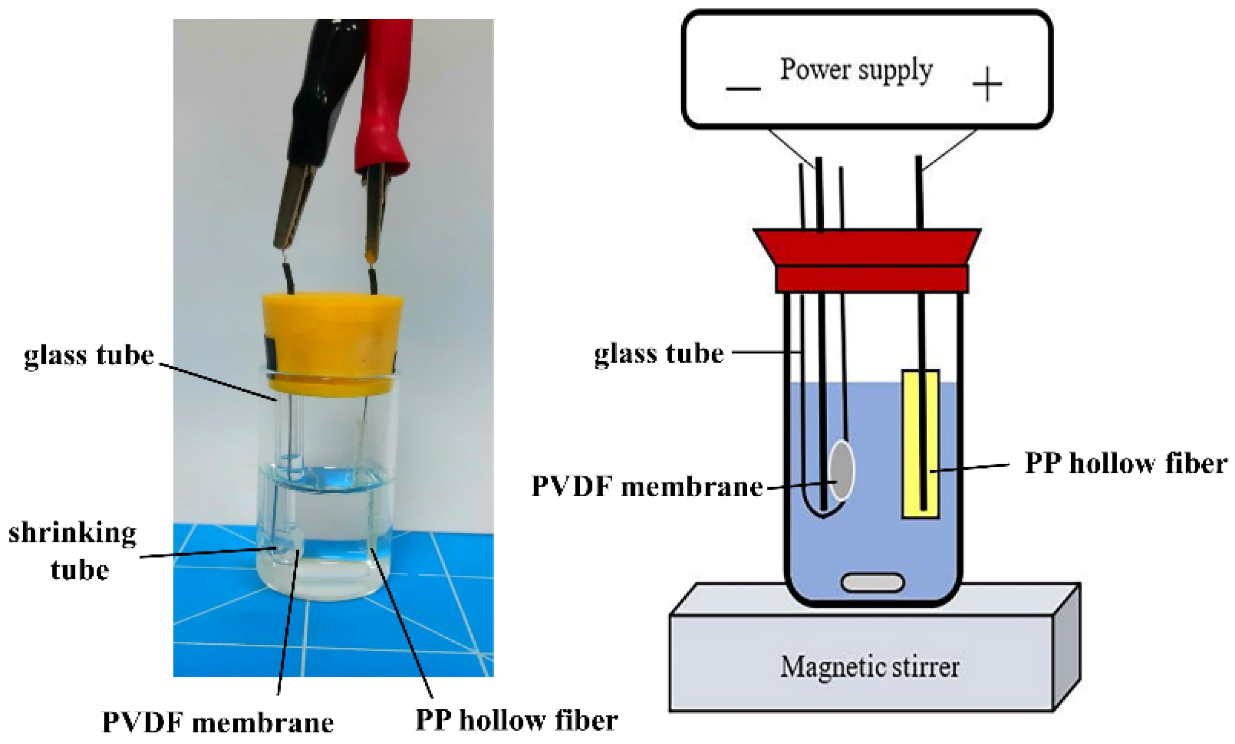 Membranes 12 00620 g001