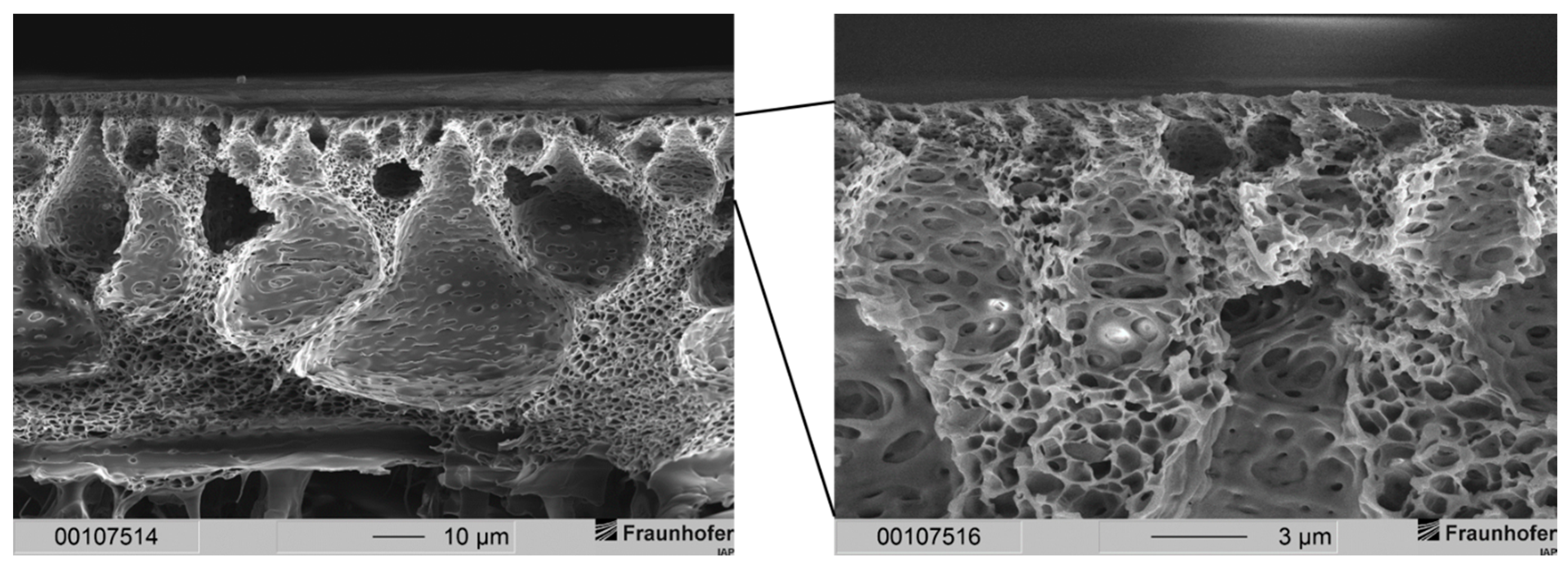 Membranes 12 00654 g005 Membranes 12 00654 g005