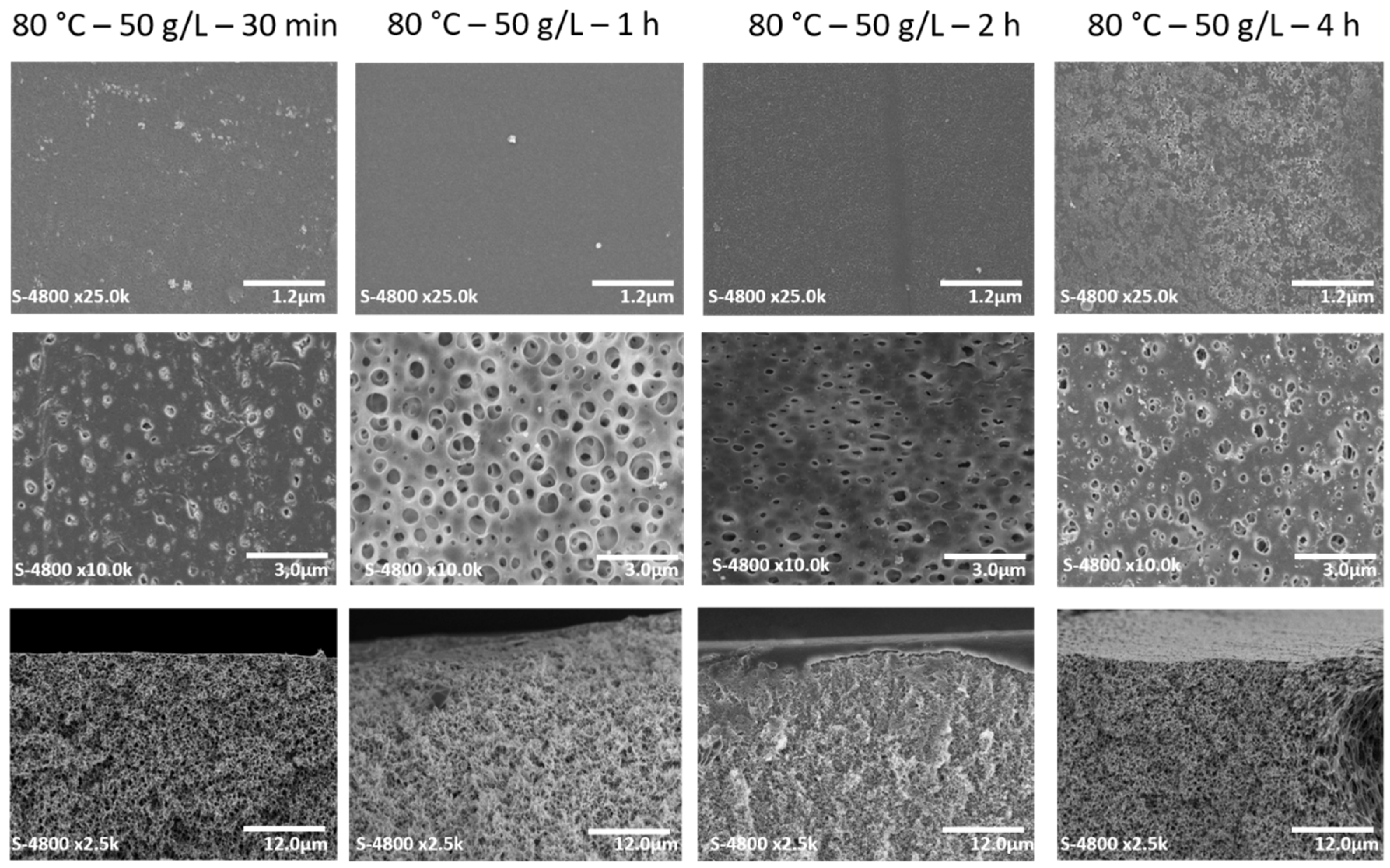 Membranes 12 00664 g012
