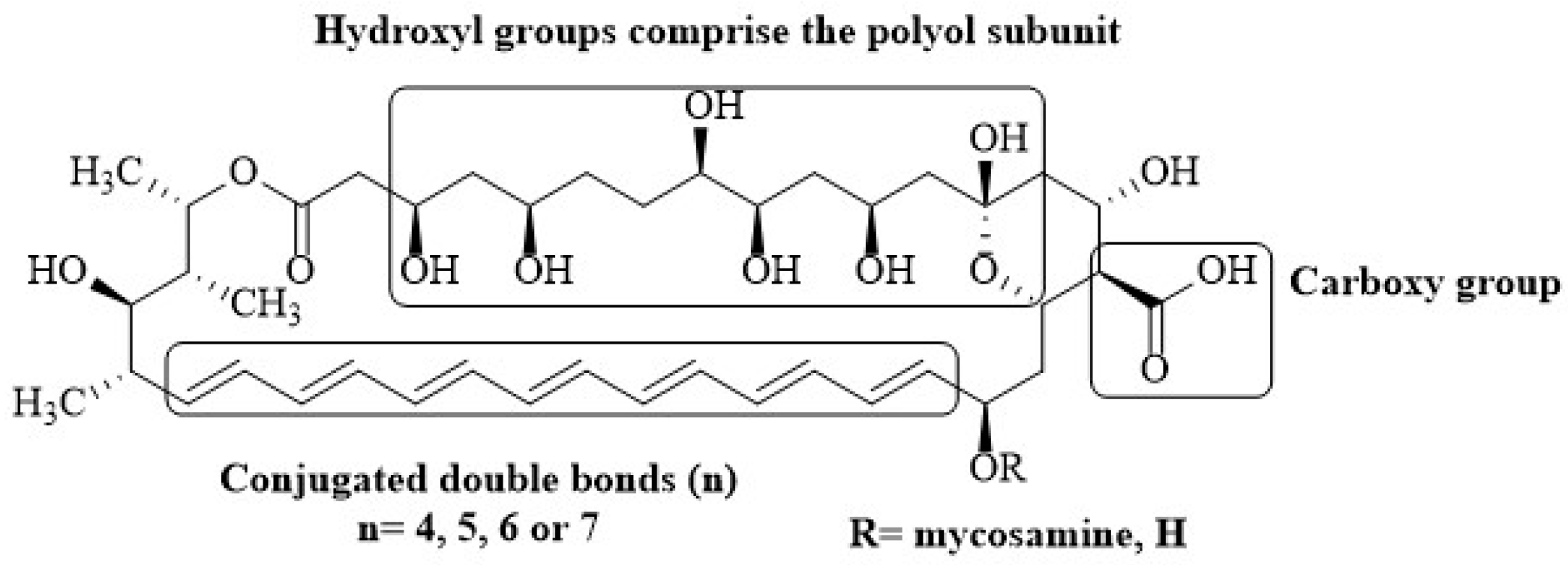 Membranes 12 00681 g001