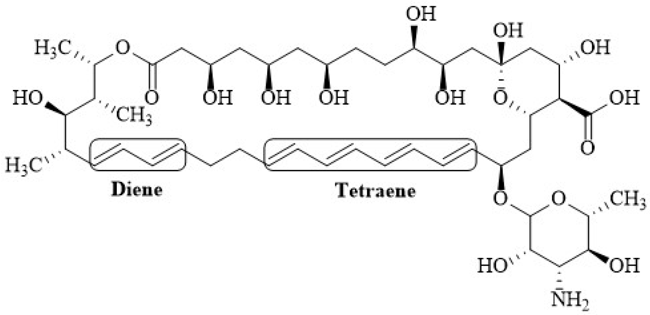 Membranes 12 00681 g002