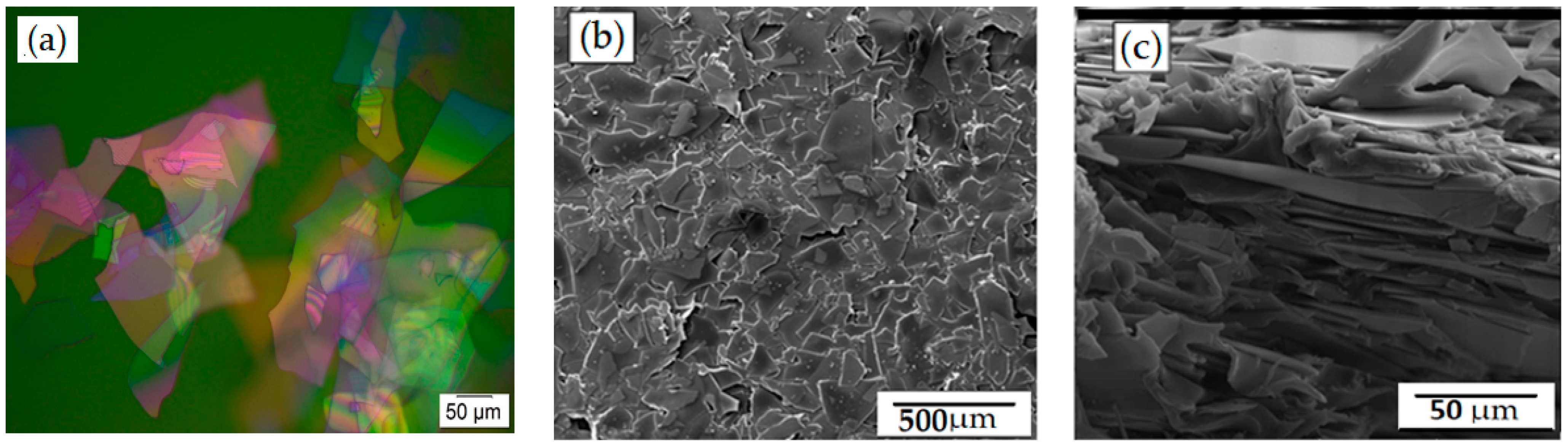 Membranes 12 00701 g001 Membranes 12 00701 g001