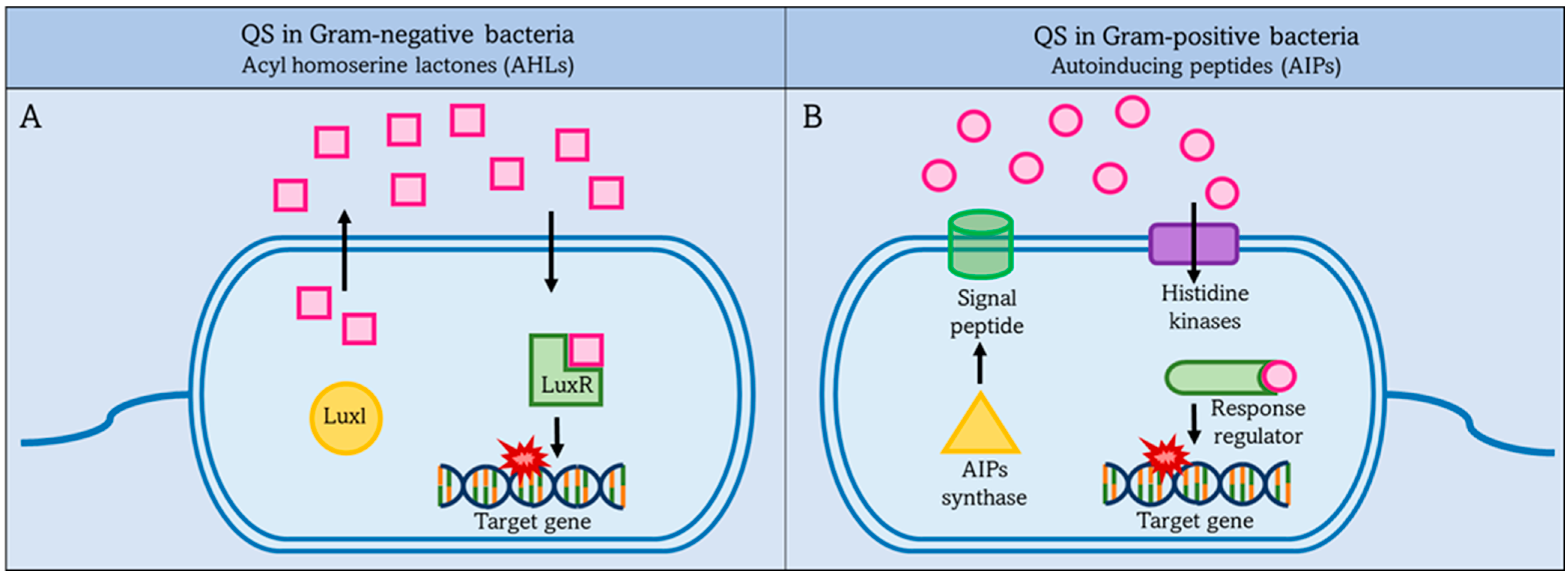 Membranes 12 00715 g002