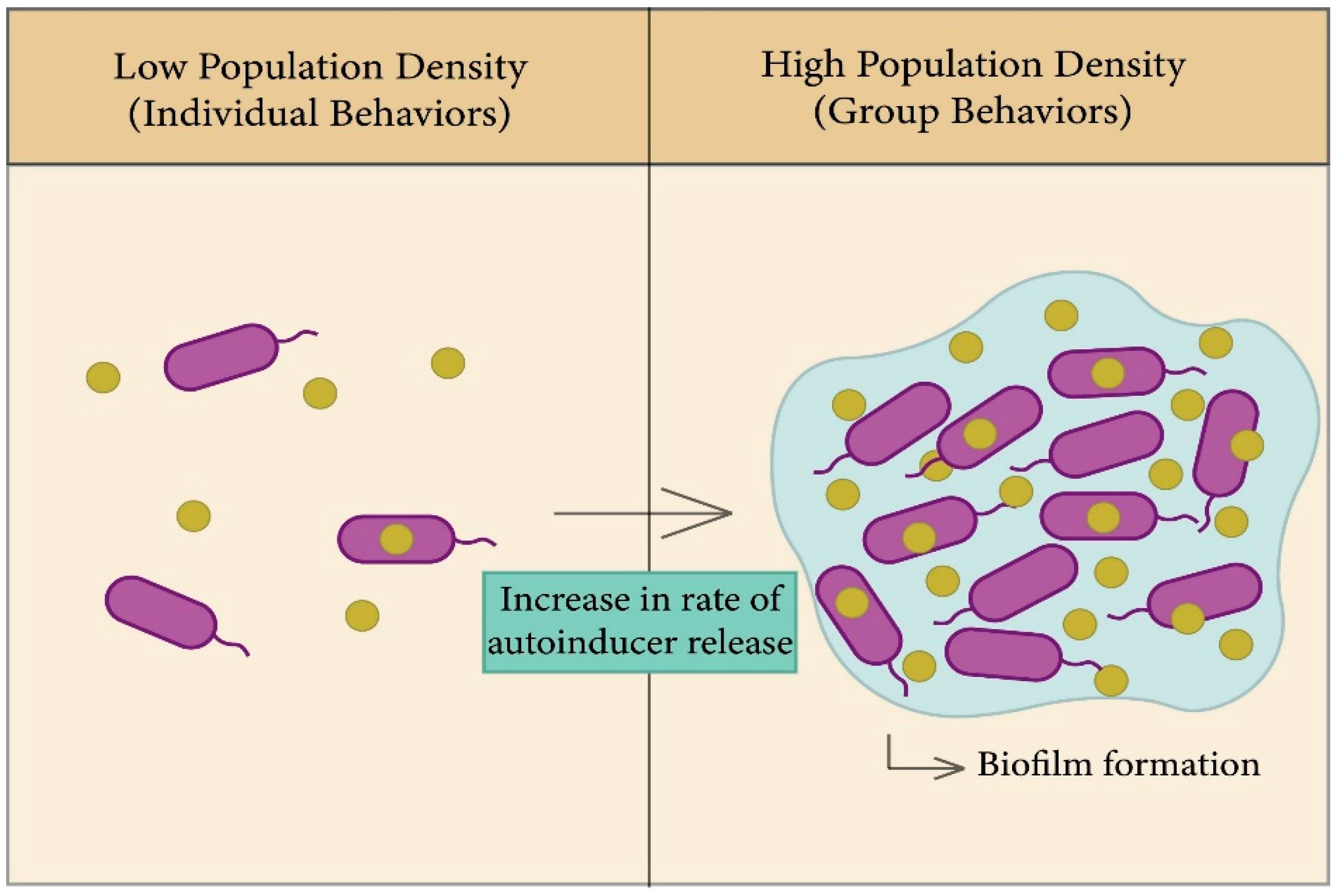 Membranes 12 00715 g003