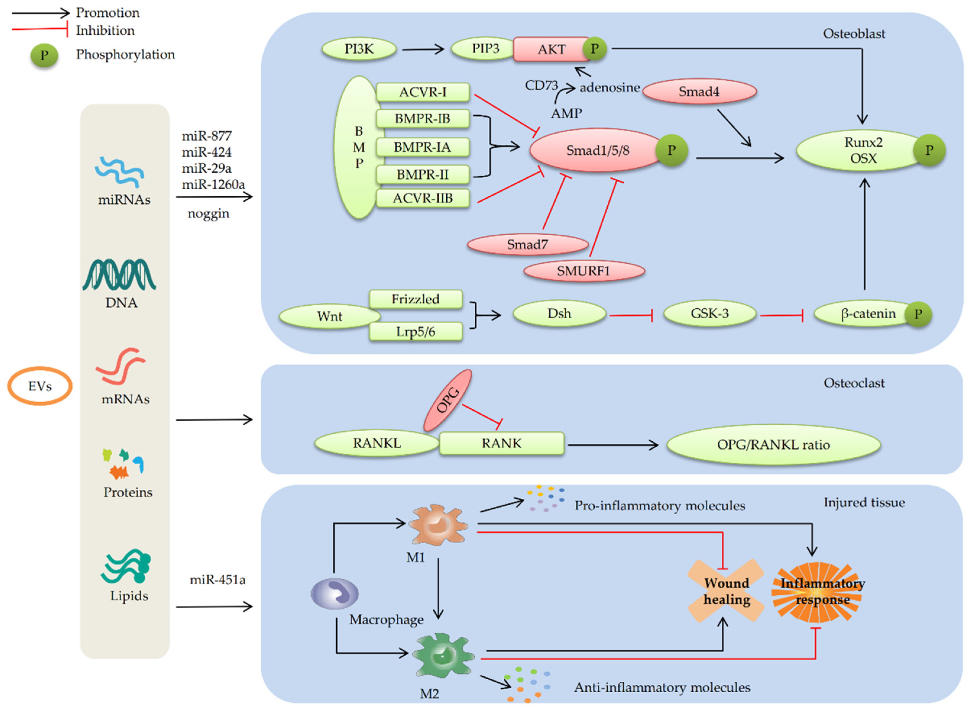 Membranes 12 00716 g003 Membranes 12 00716 g003