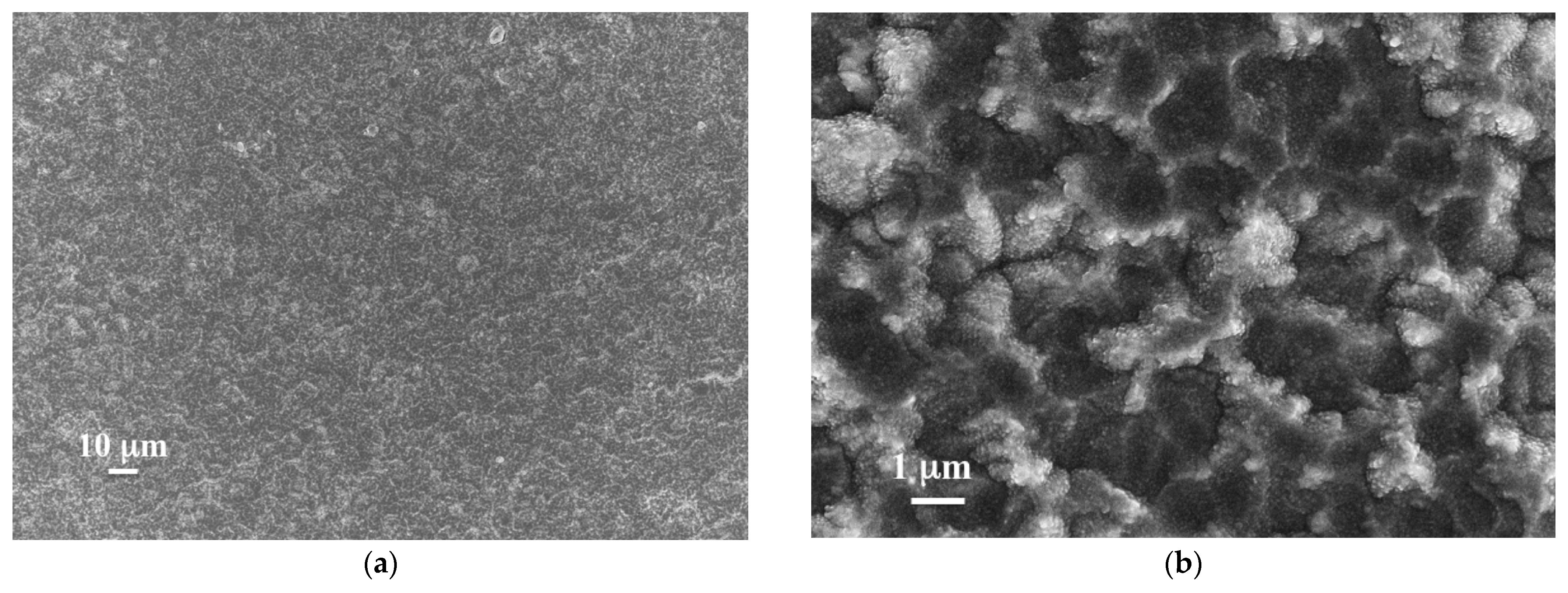 Membranes 12 00722 g002