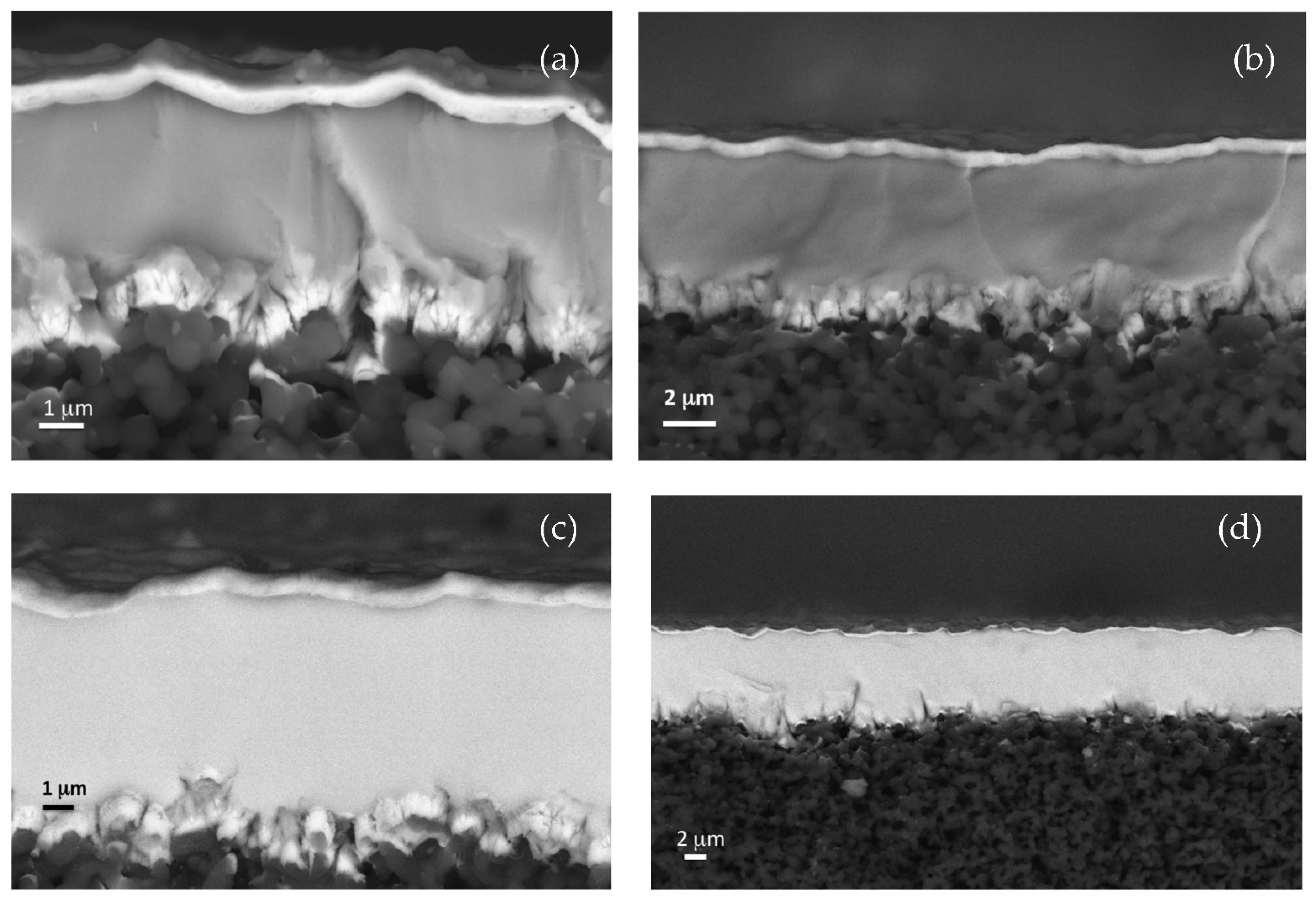 Membranes 12 00722 g003