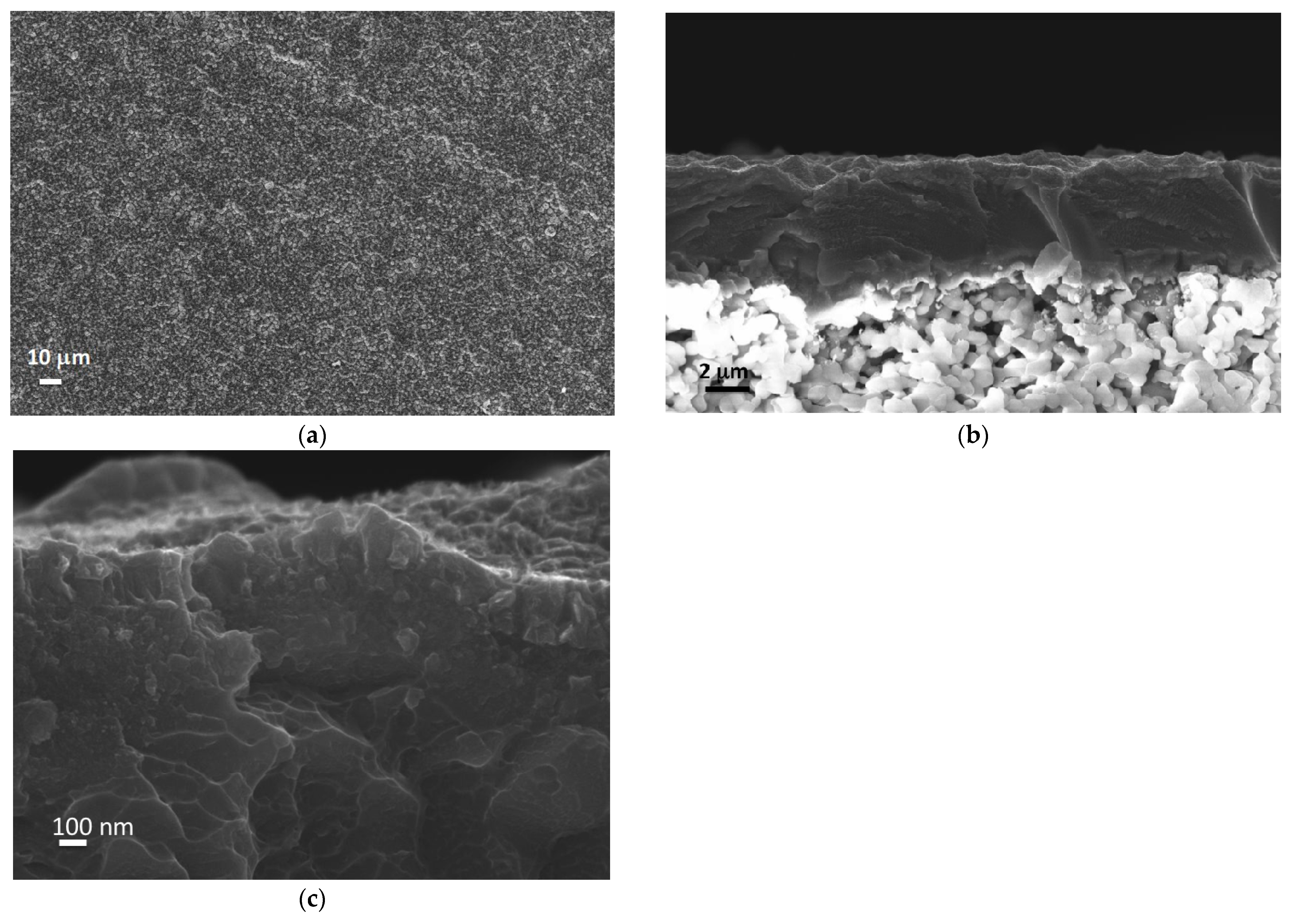 Membranes 12 00722 g007