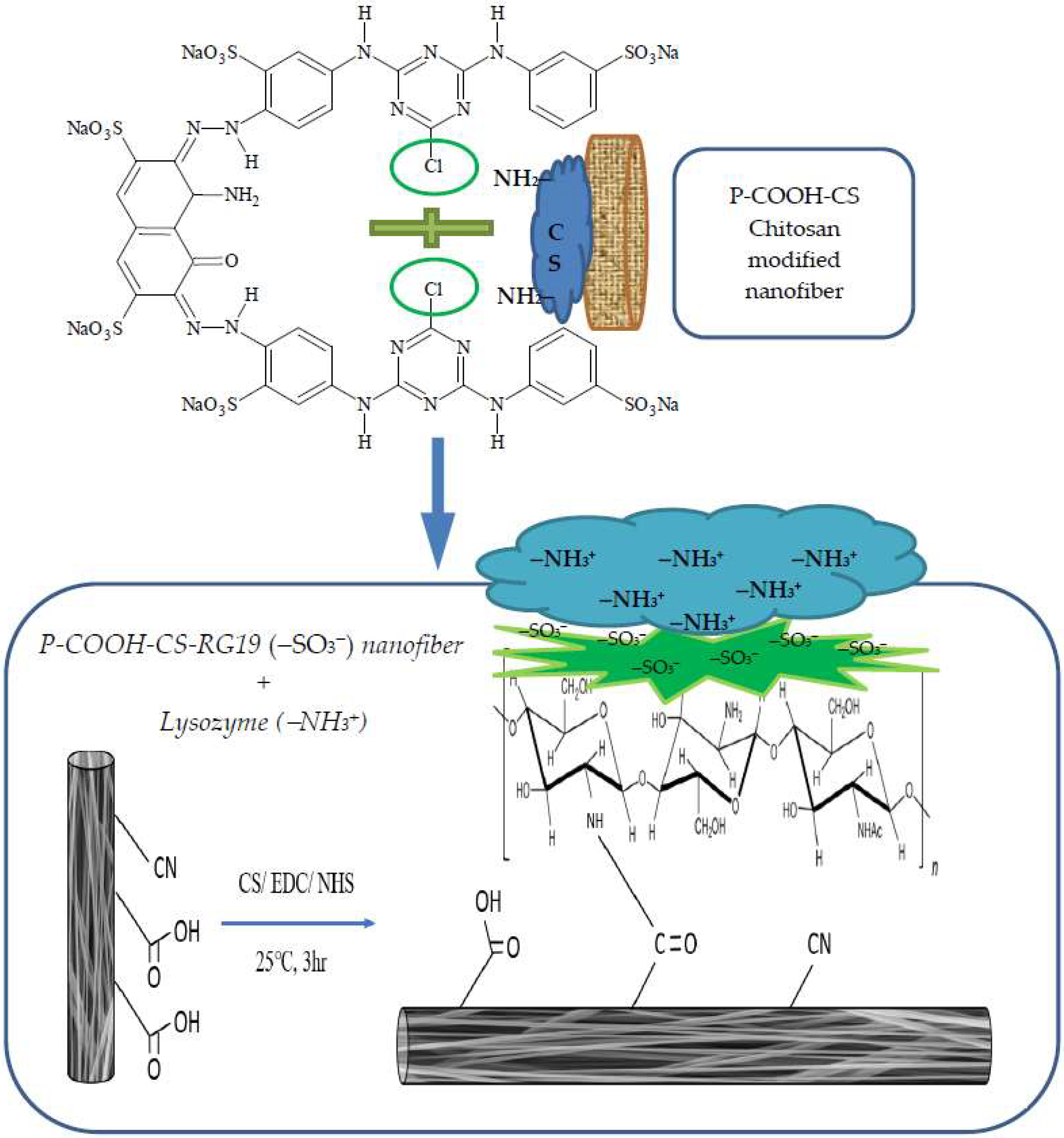 Membranes 12 00759 g001