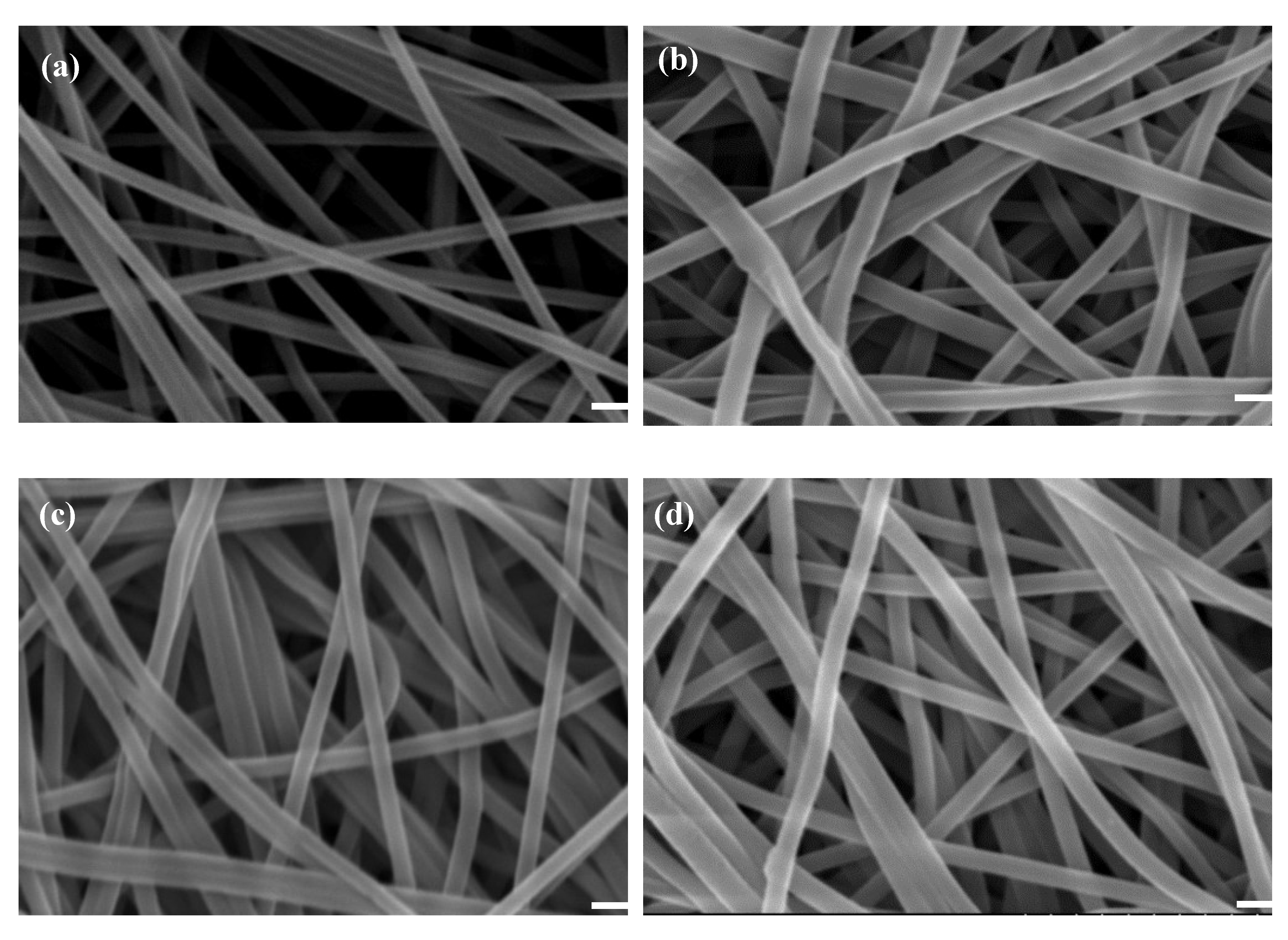 Membranes 12 00759 g003