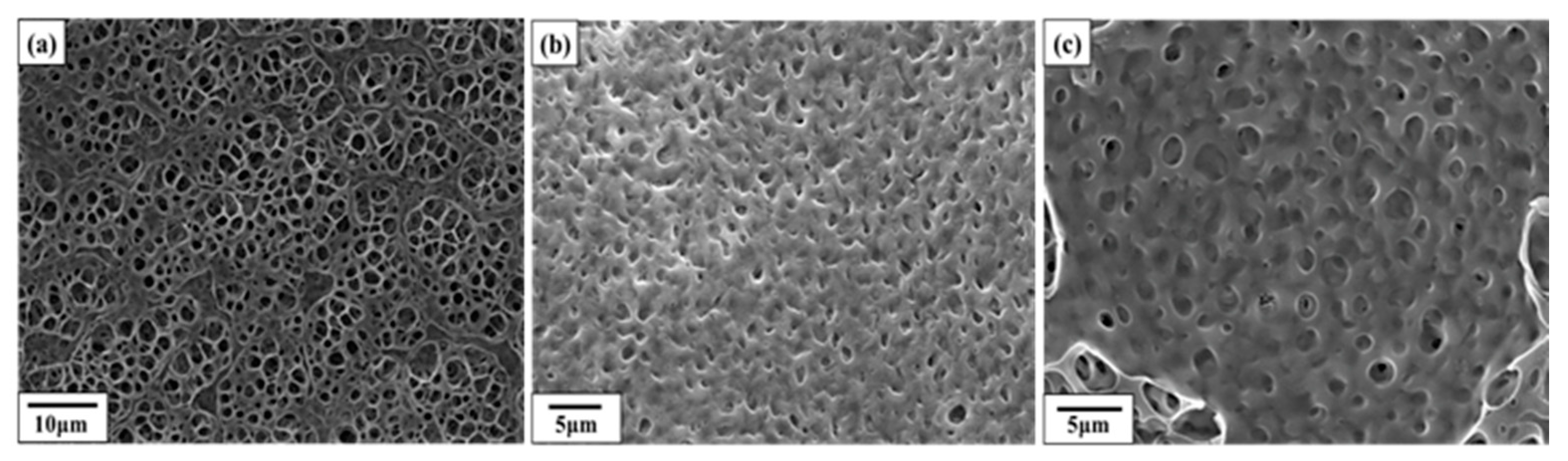 Membranes 12 00764 g003