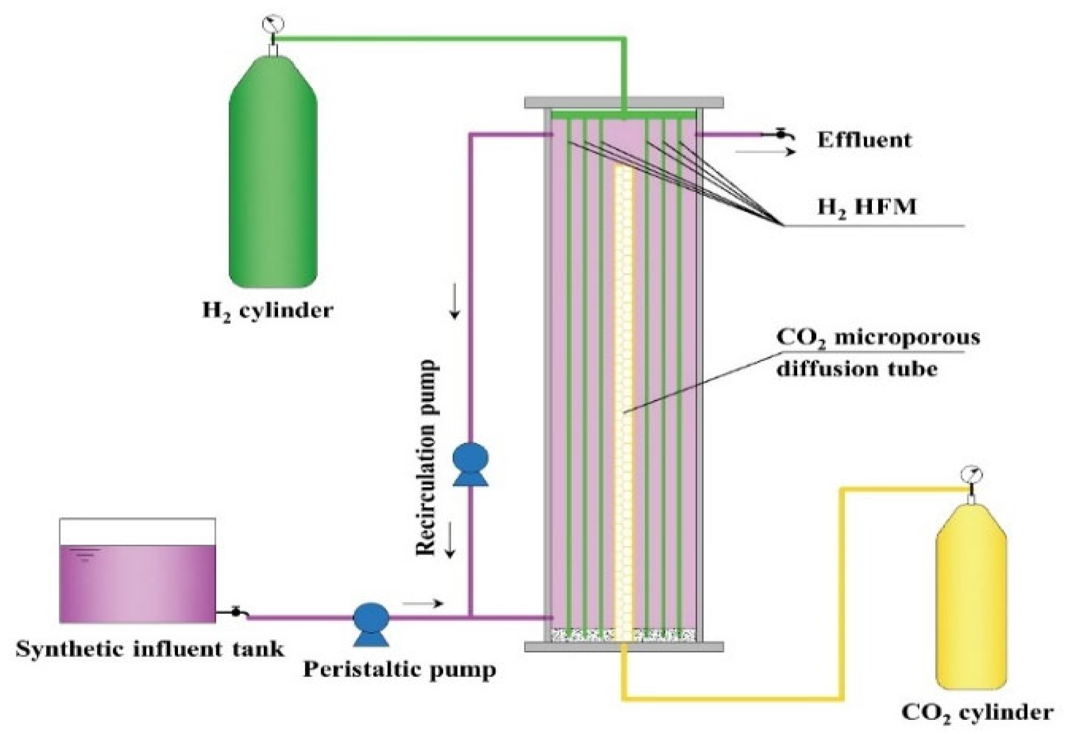Membranes 12 00774 g001