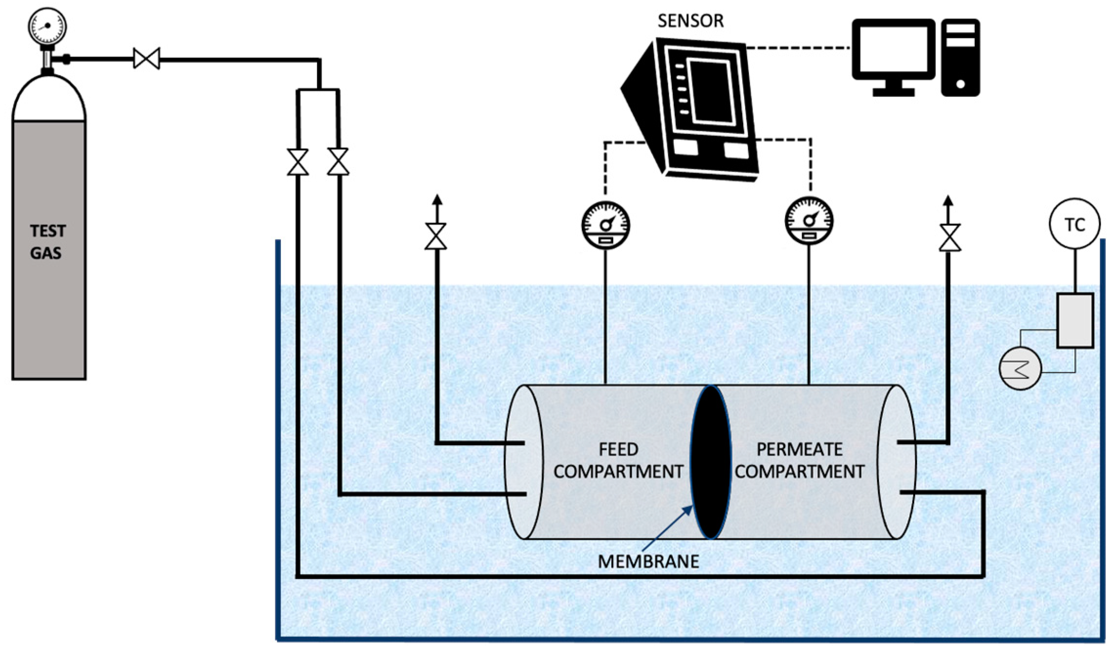 Membranes 12 00797 g005
