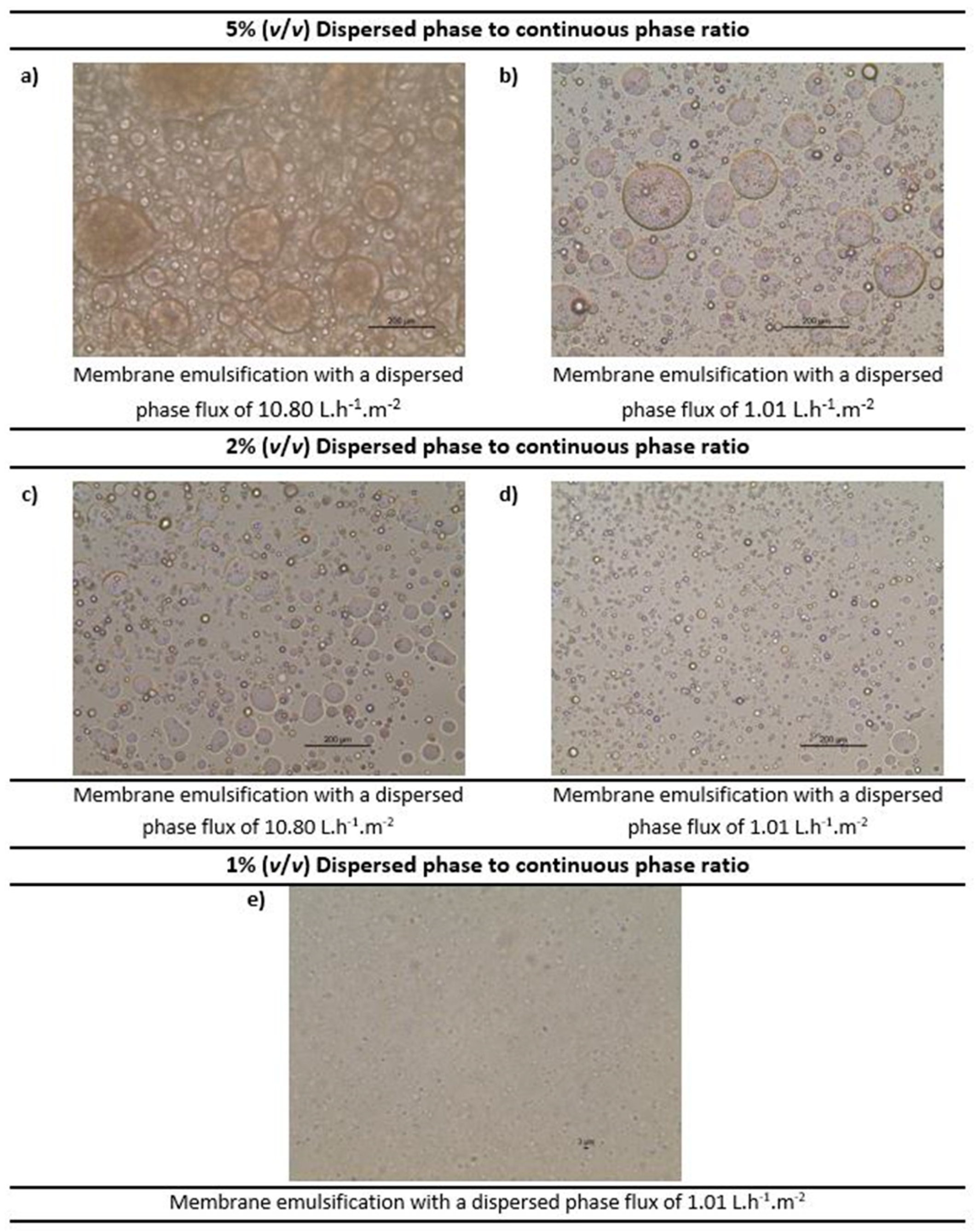 Membranes 12 00797 g007