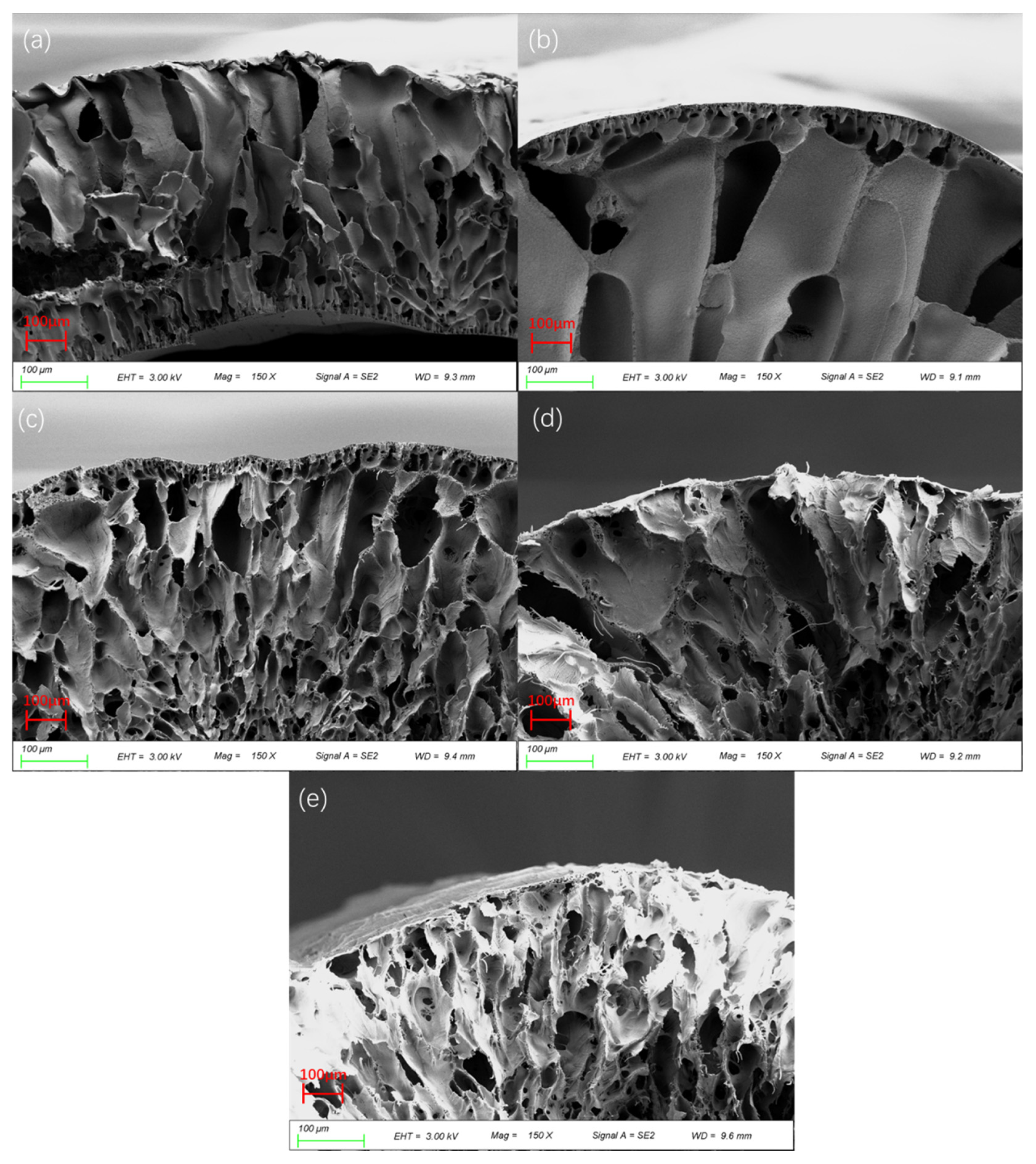 Membranes 12 00809 g006