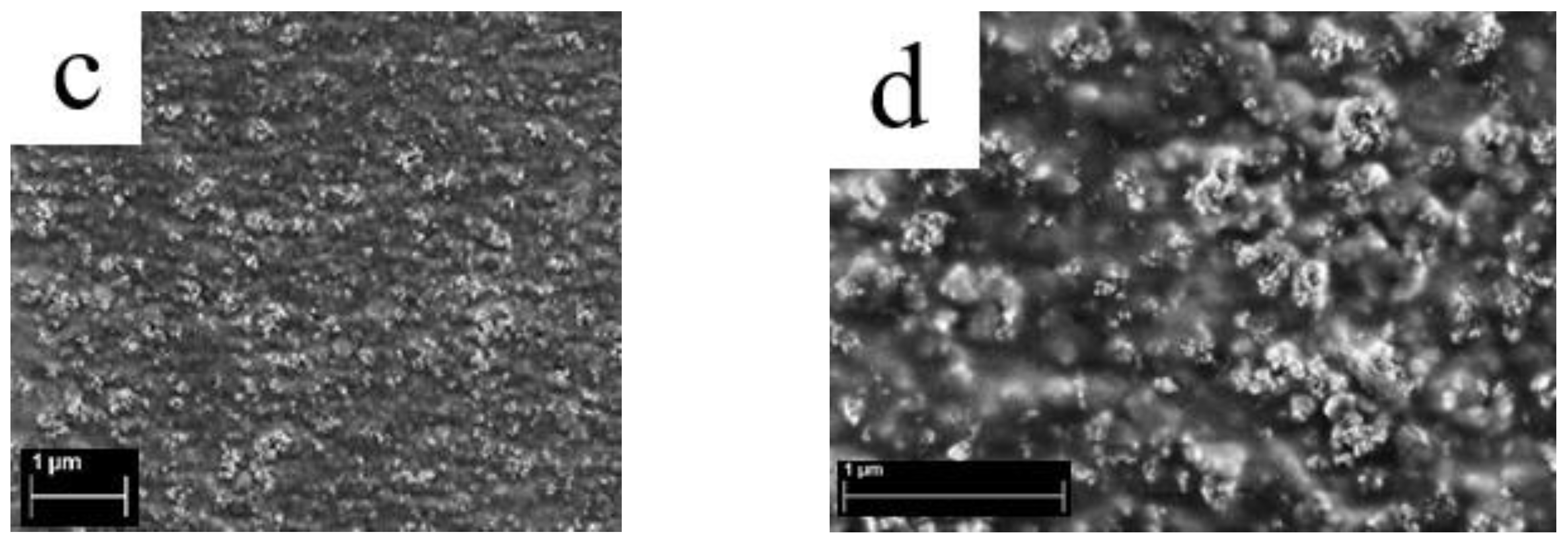 Membranes 12 00827 g003b