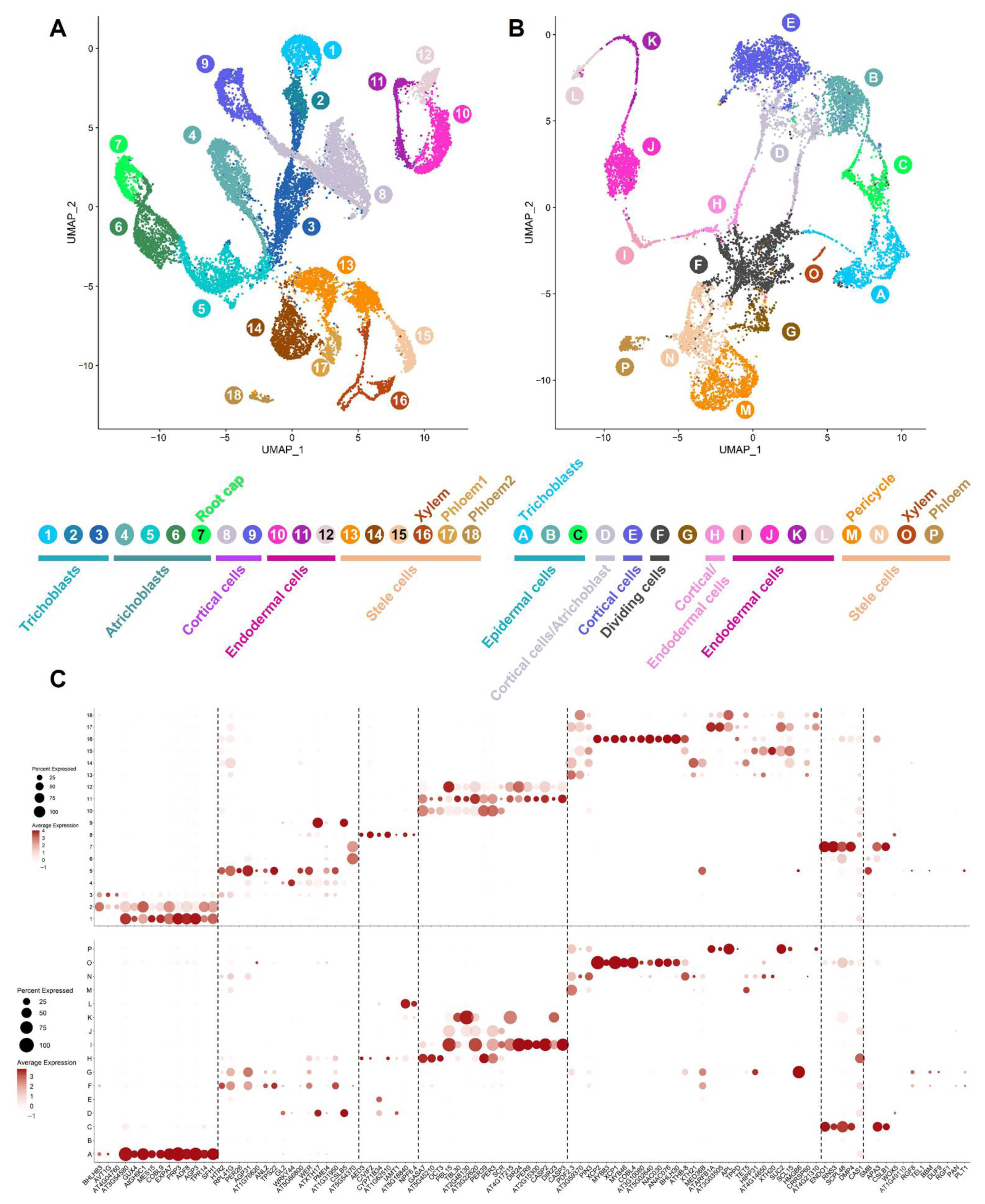 Membranes 12 00874 g001