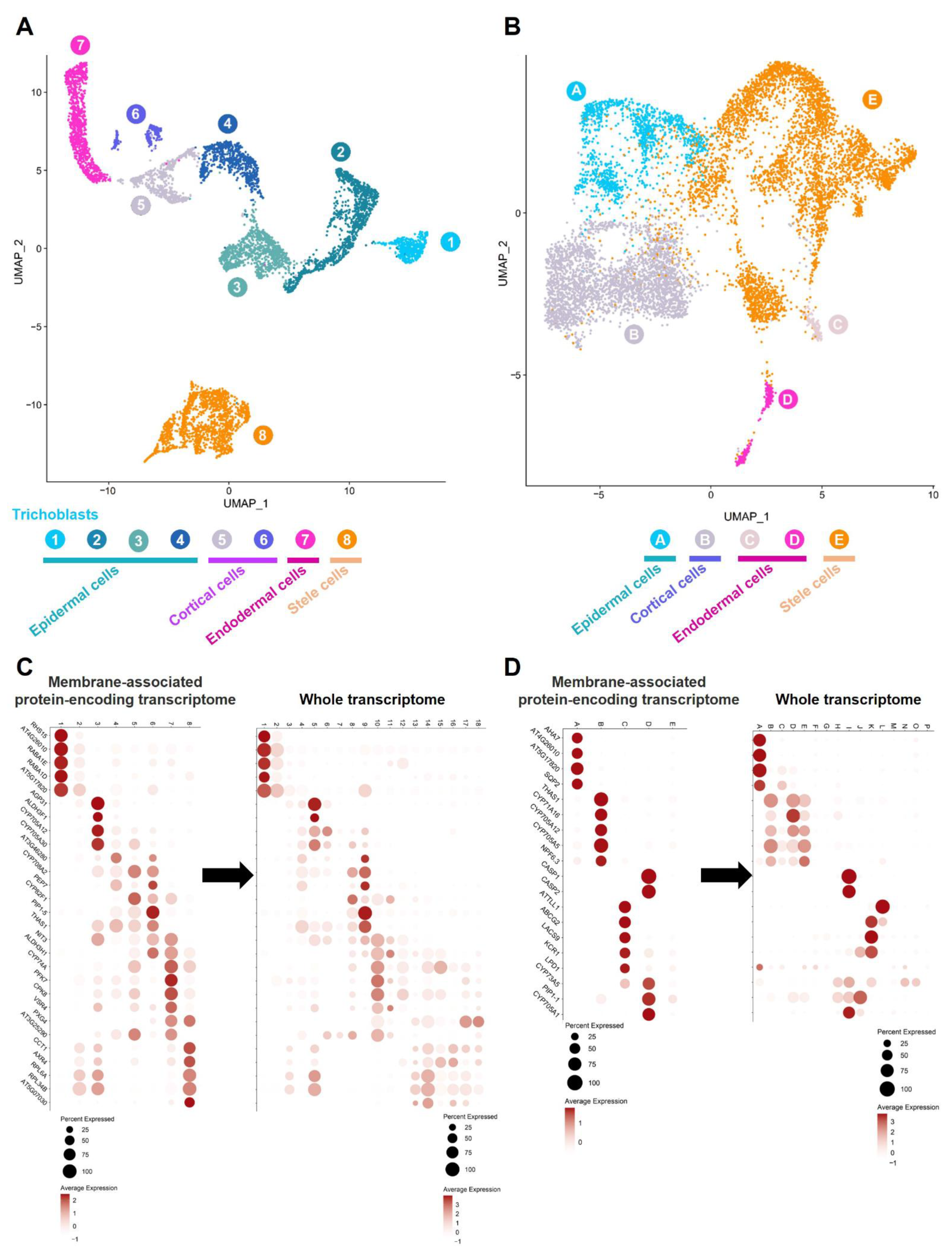Membranes 12 00874 g003