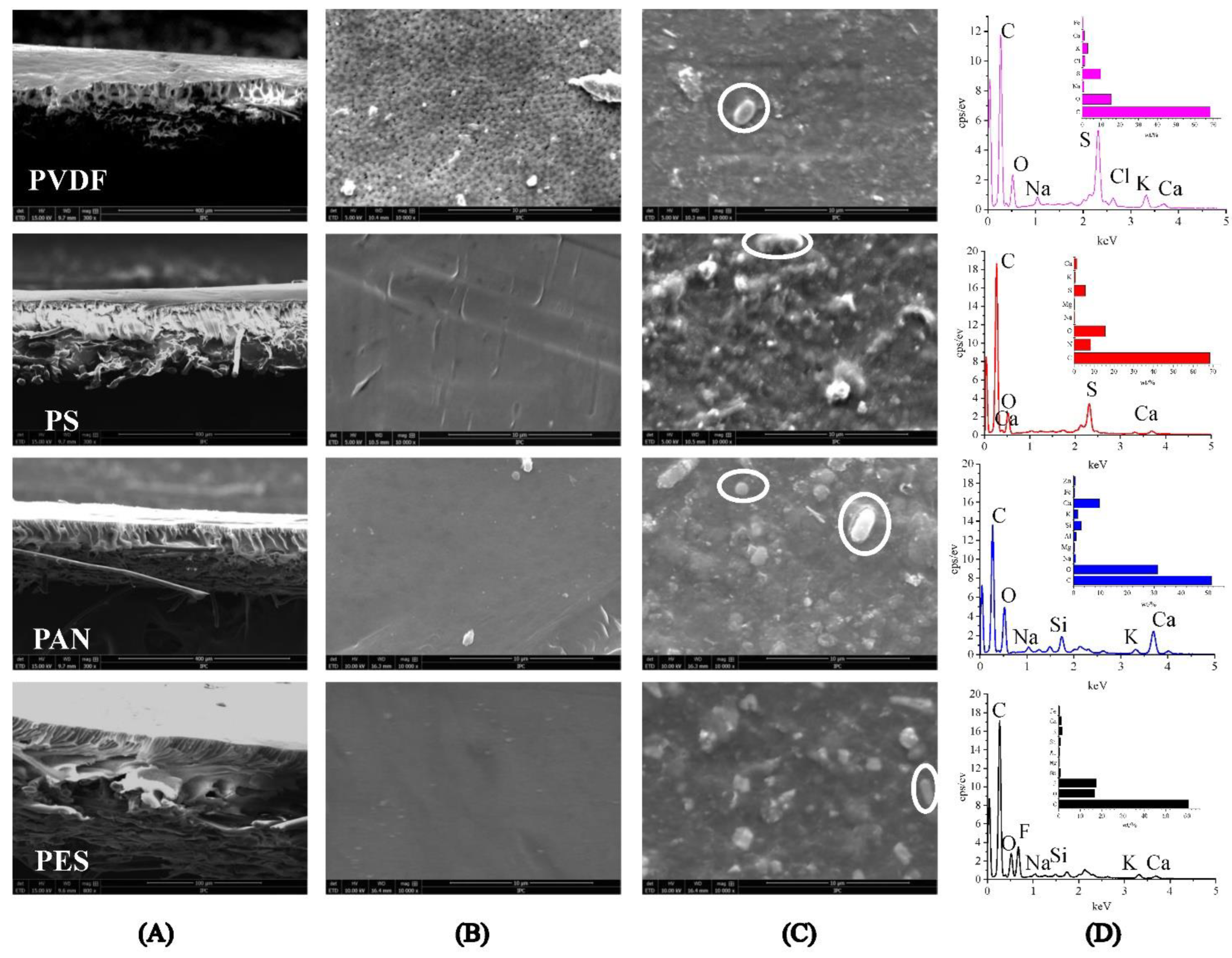 Membranes 12 00882 g004