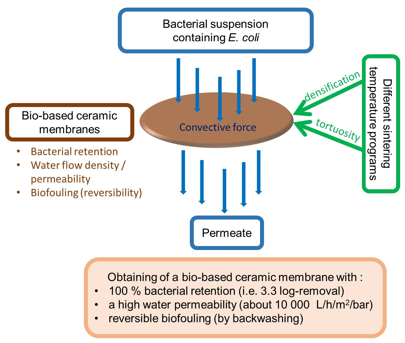 Membranes | Free Full-Text | Bio-Based Ceramic Membranes for Bacteria  Removal from Water | HTML