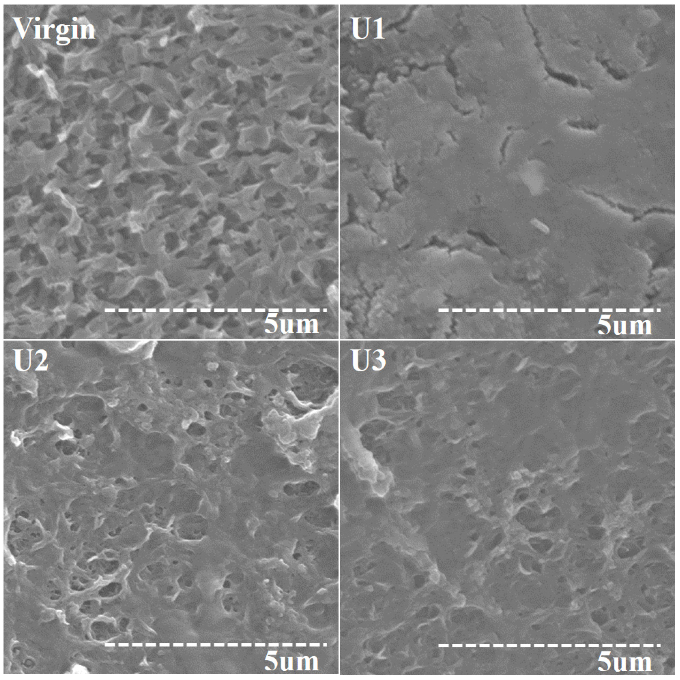 Membranes 12 00918 g004