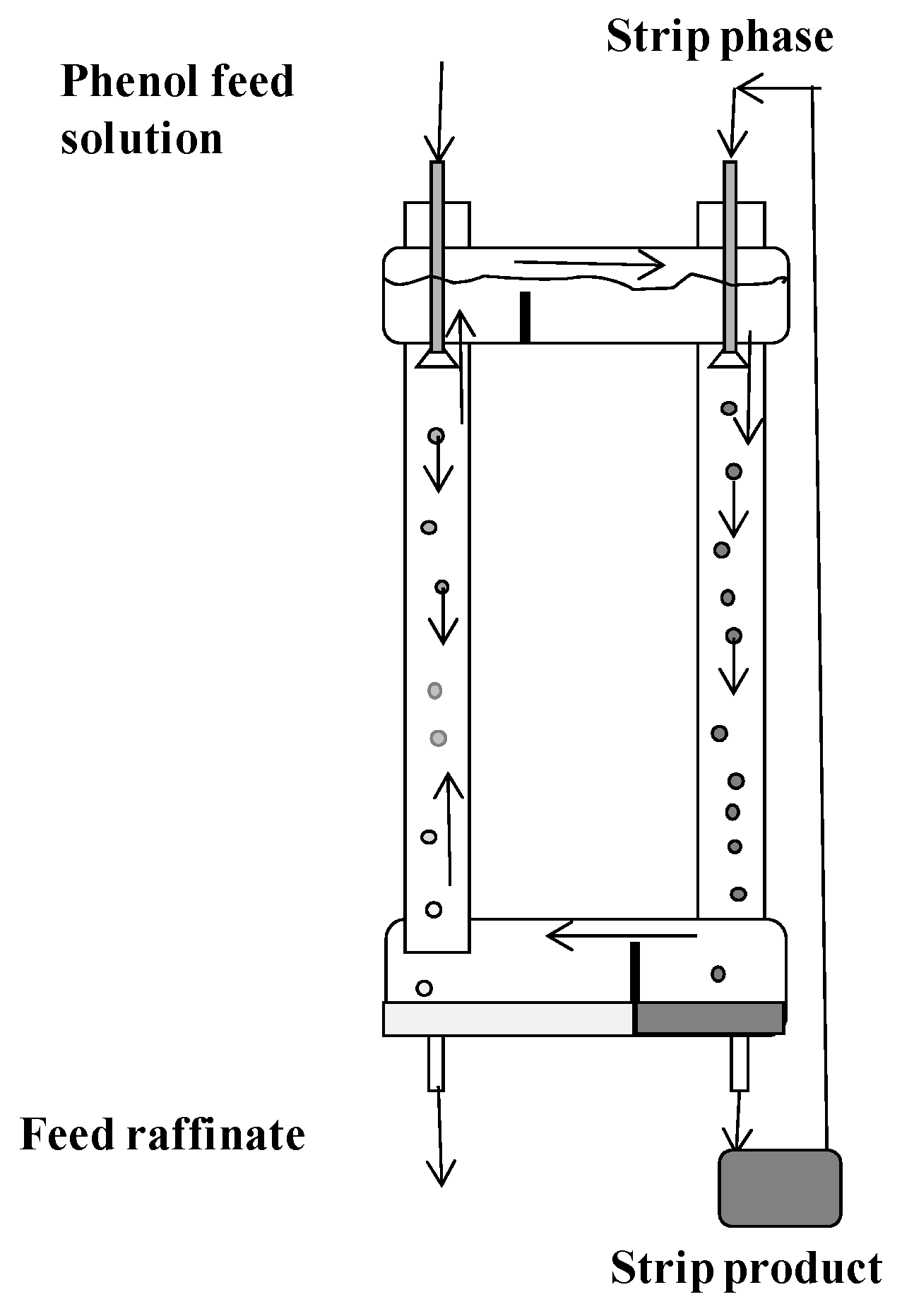 Membranes 12 00926 g005