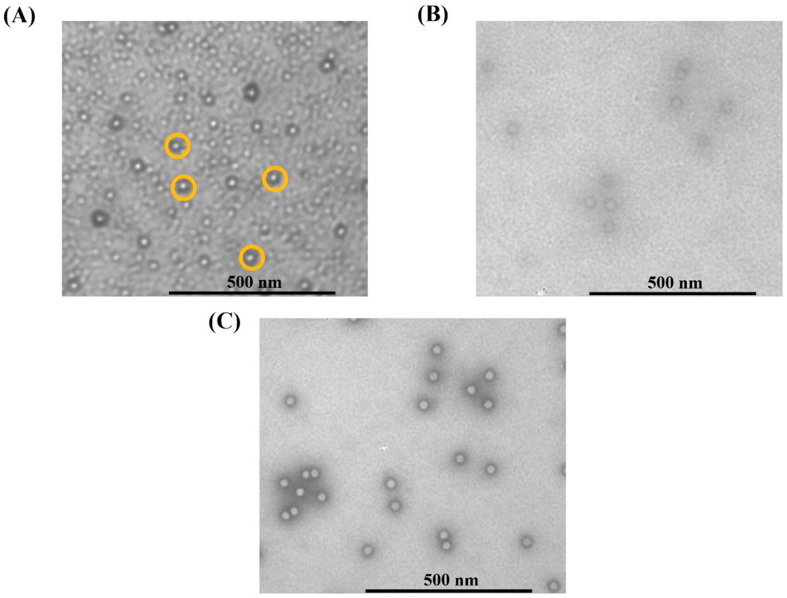 Membranes 12 00944 g009 Membranes 12 00944 g009