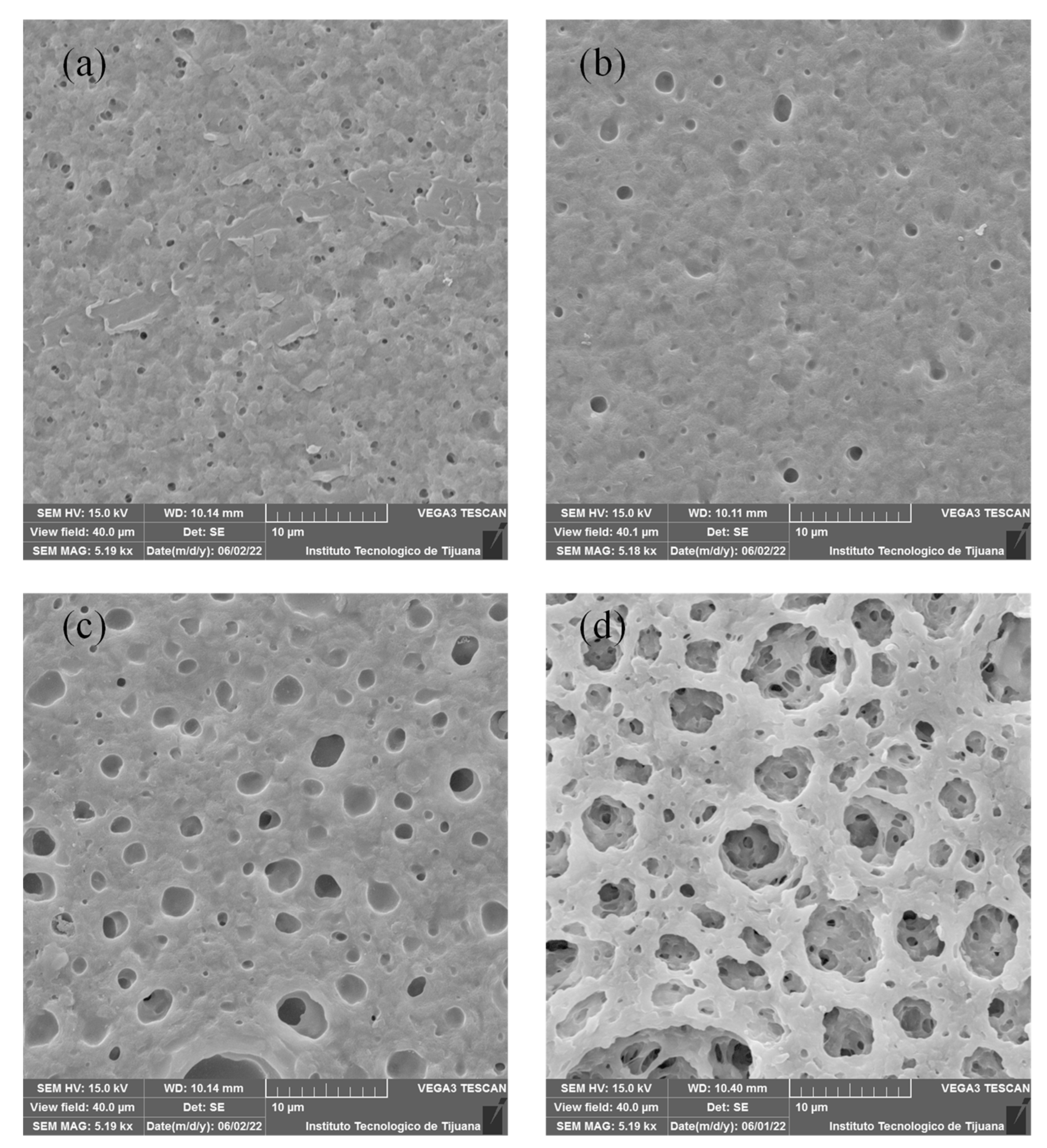 Membranes 12 00959 g004