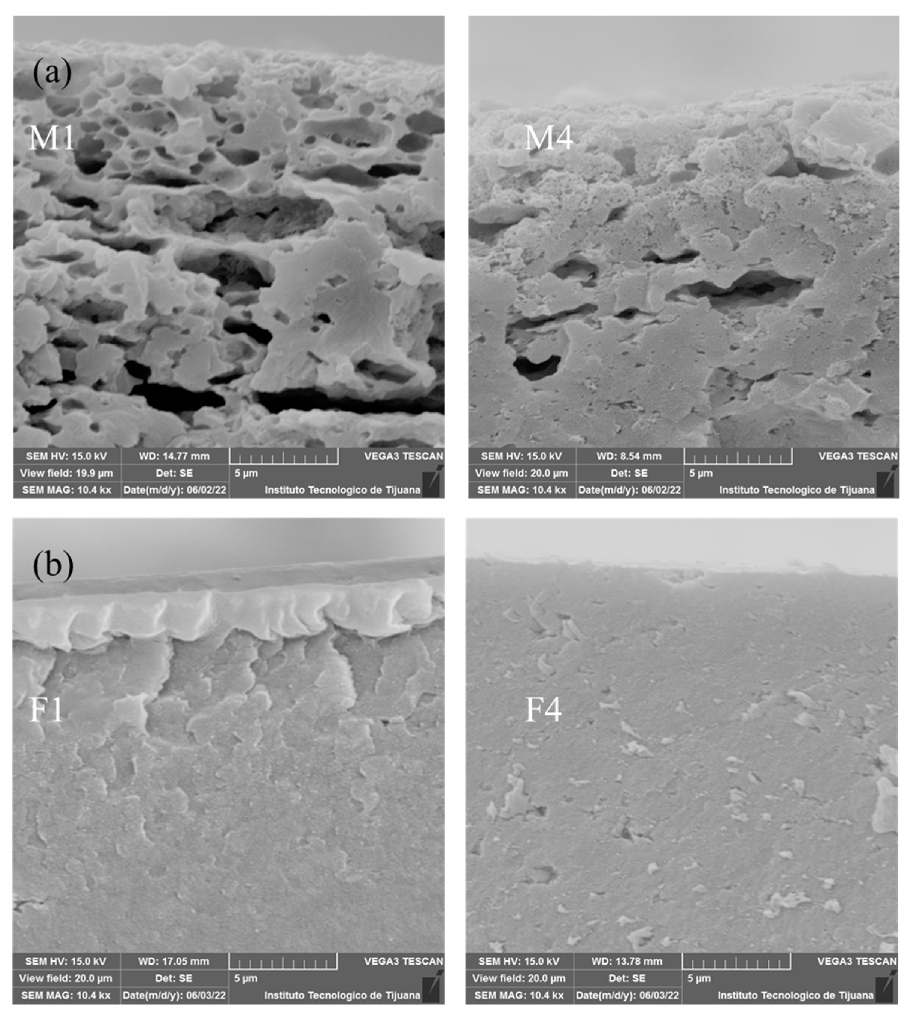 Membranes 12 00959 g005