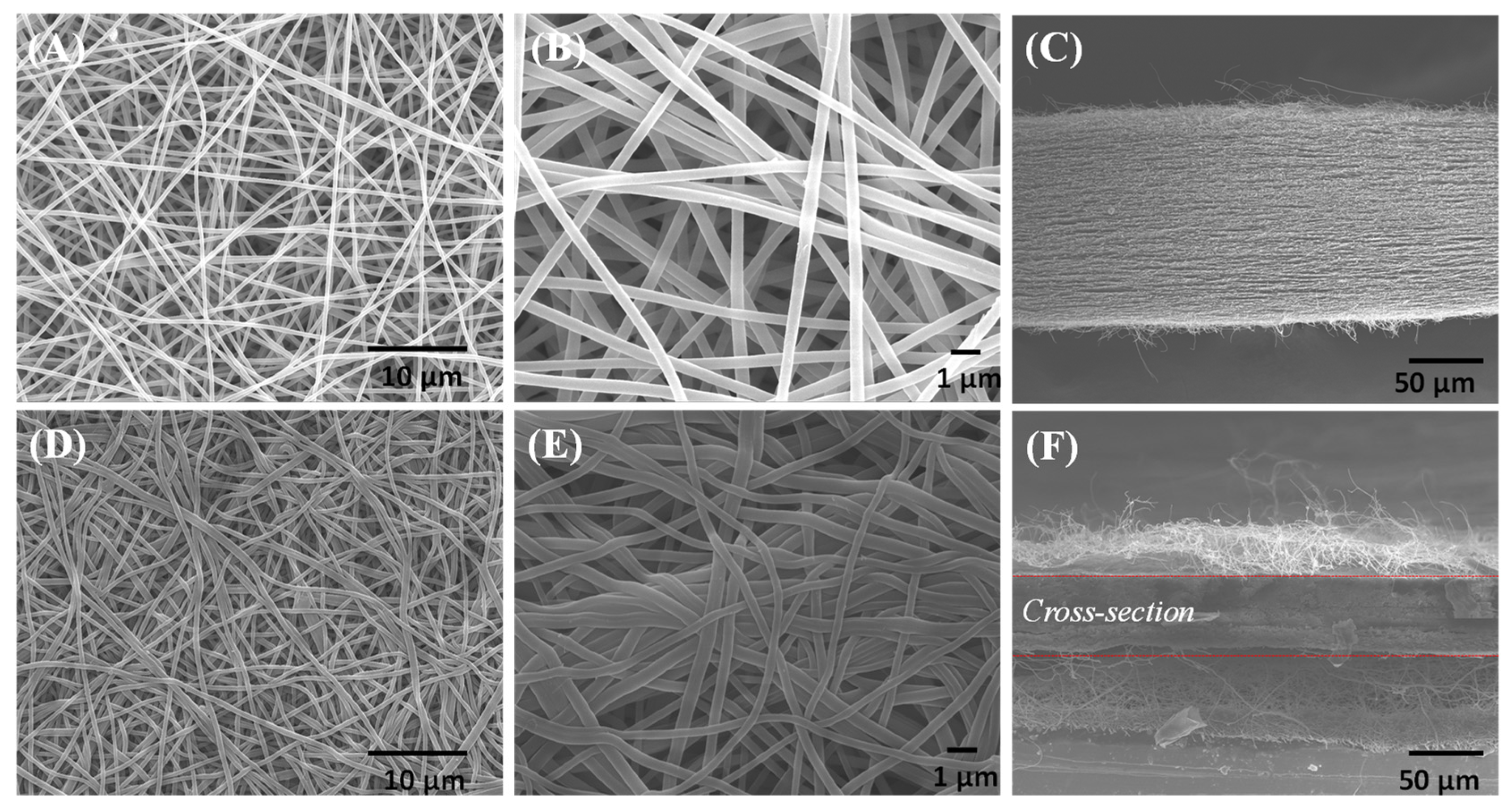 Membranes 12 00961 g005 Membranes 12 00961 g005